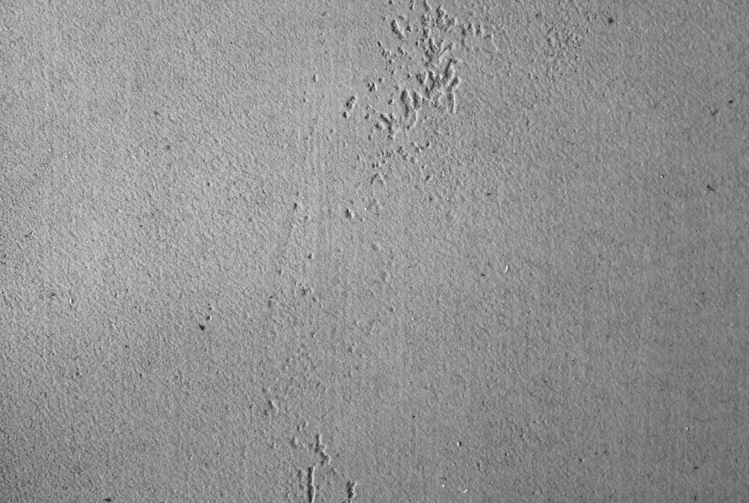 StoneslikeStones - RollBeton concrete smooth dark grey