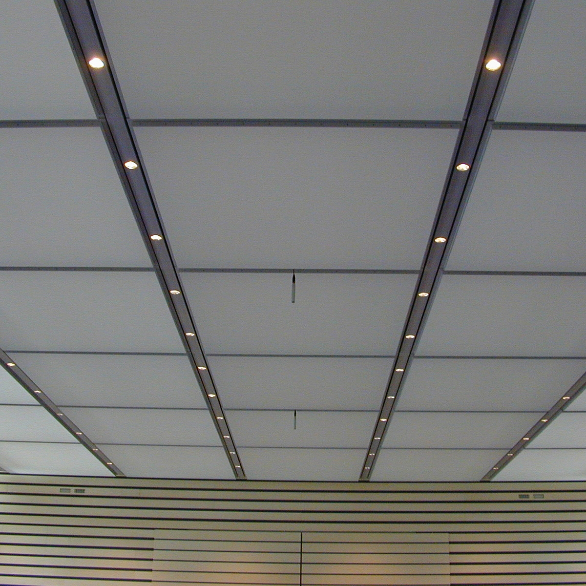 Mostra il prodotto Grid Ceilings del produttore Koch Membranen