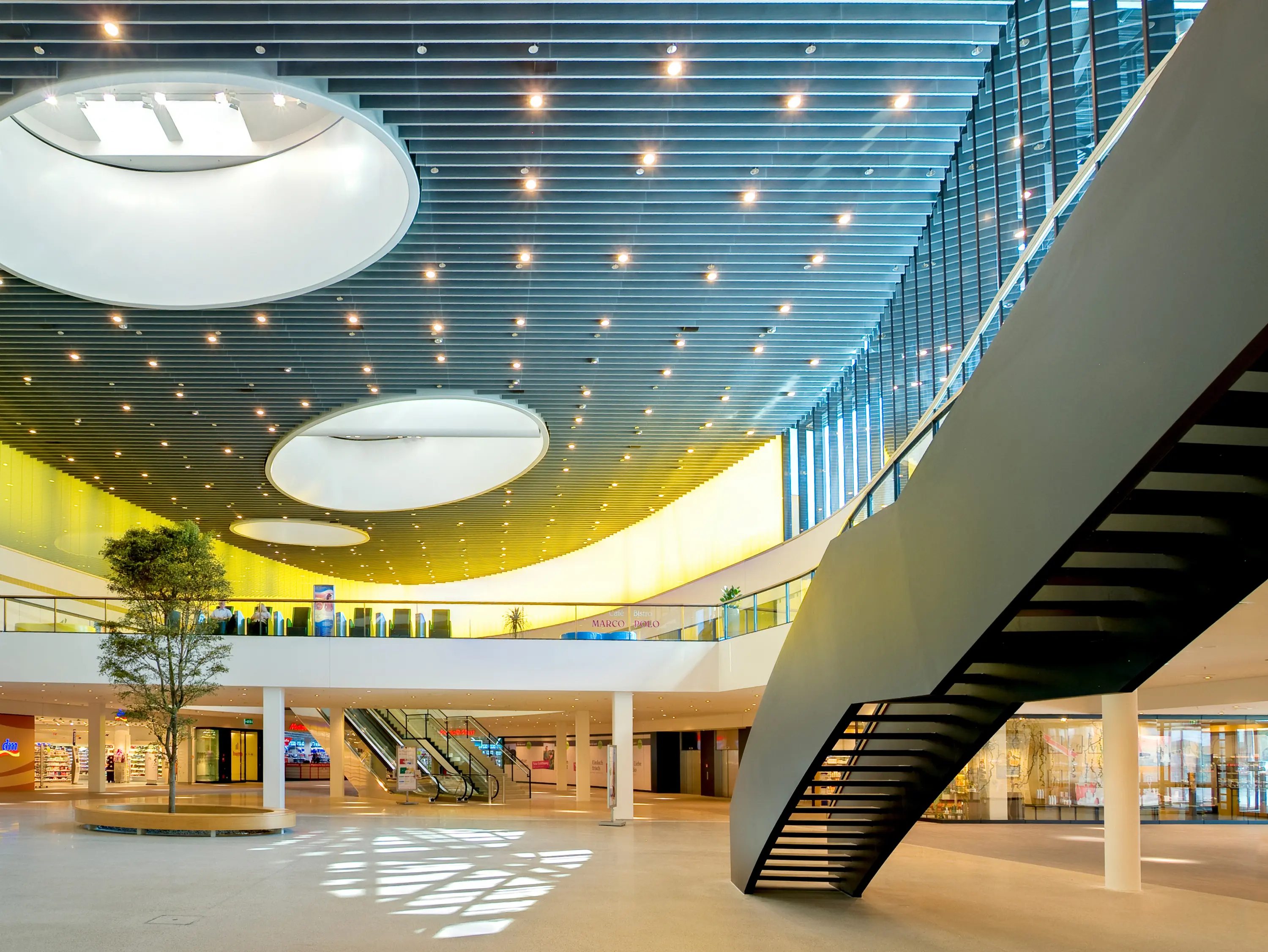 Koch Membranen - Freigespannte, 3D-Strukturen