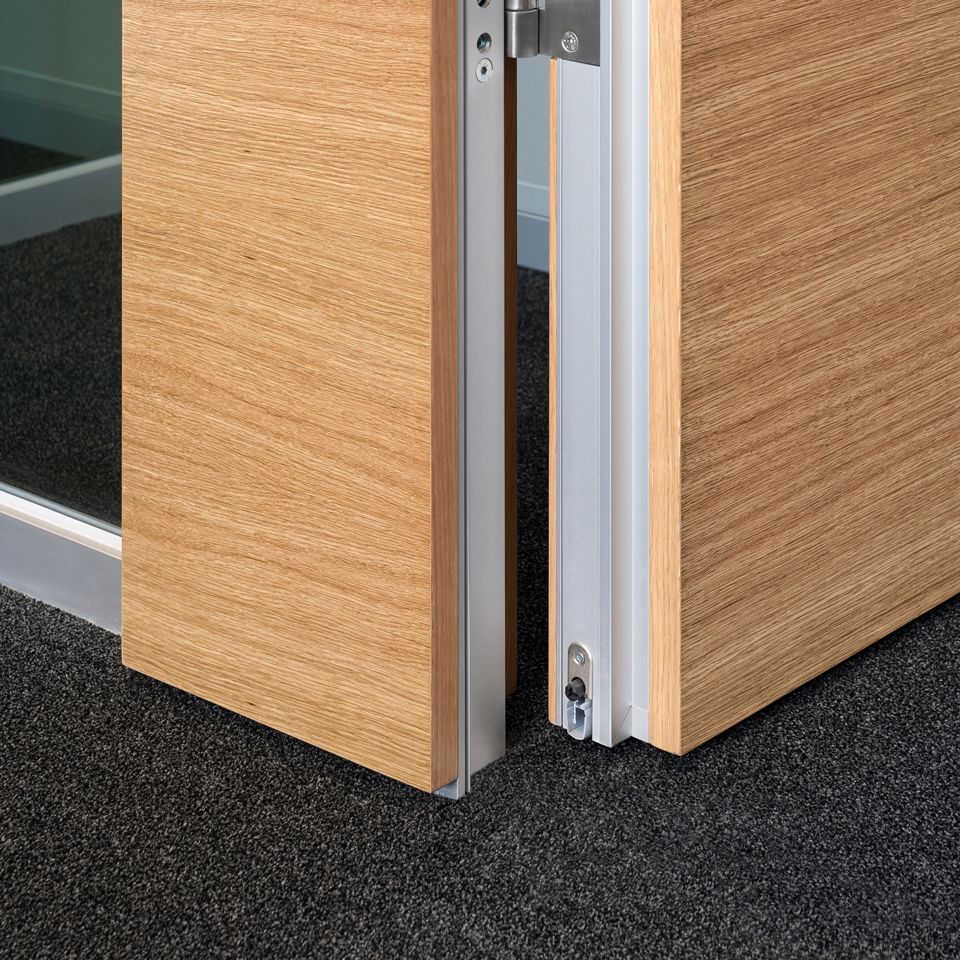 Afficher le produit fecodoor wood H70 du fabricant feco. Die Systemwand.