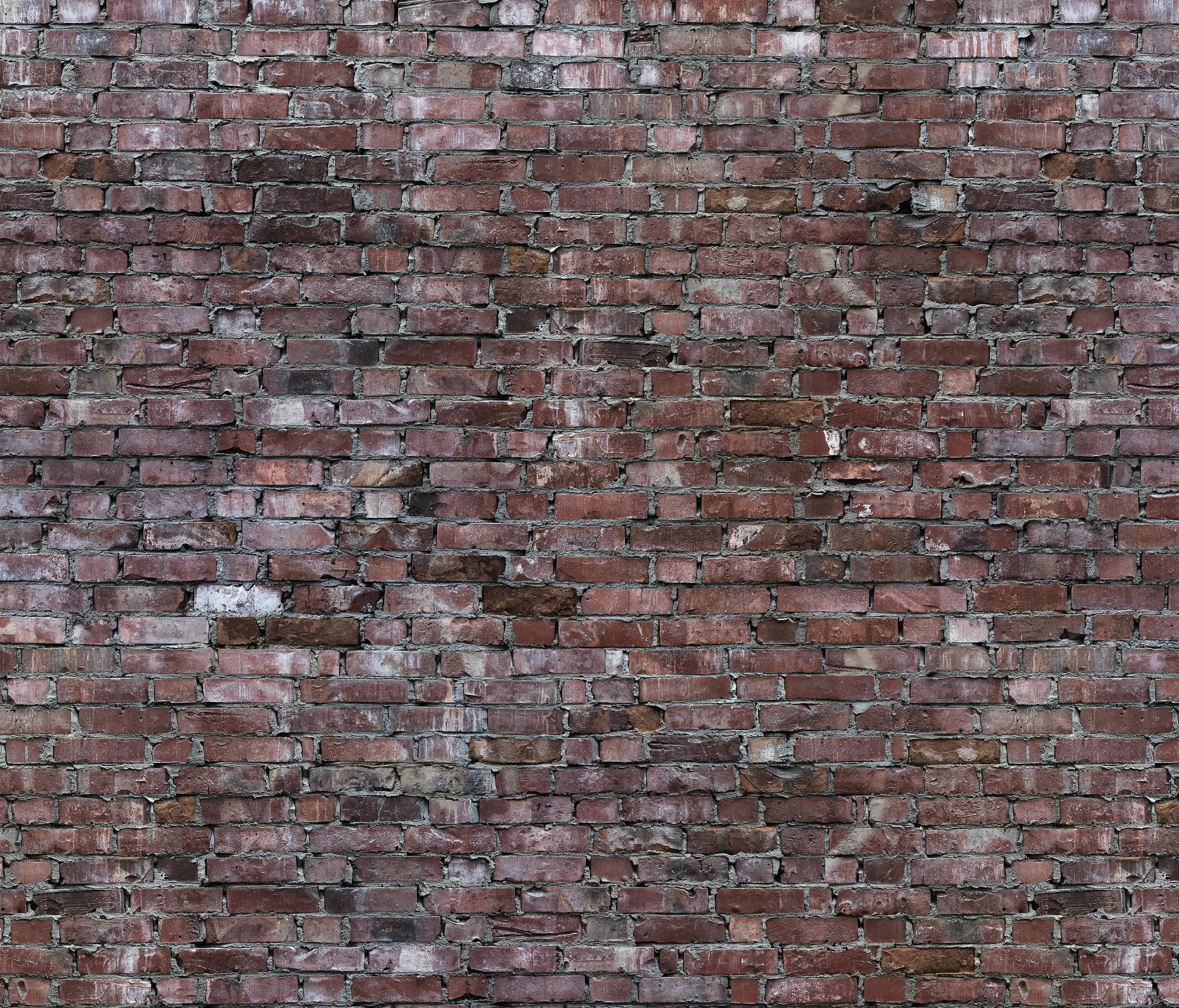 CONCRETE WALL - Attic wall 1
