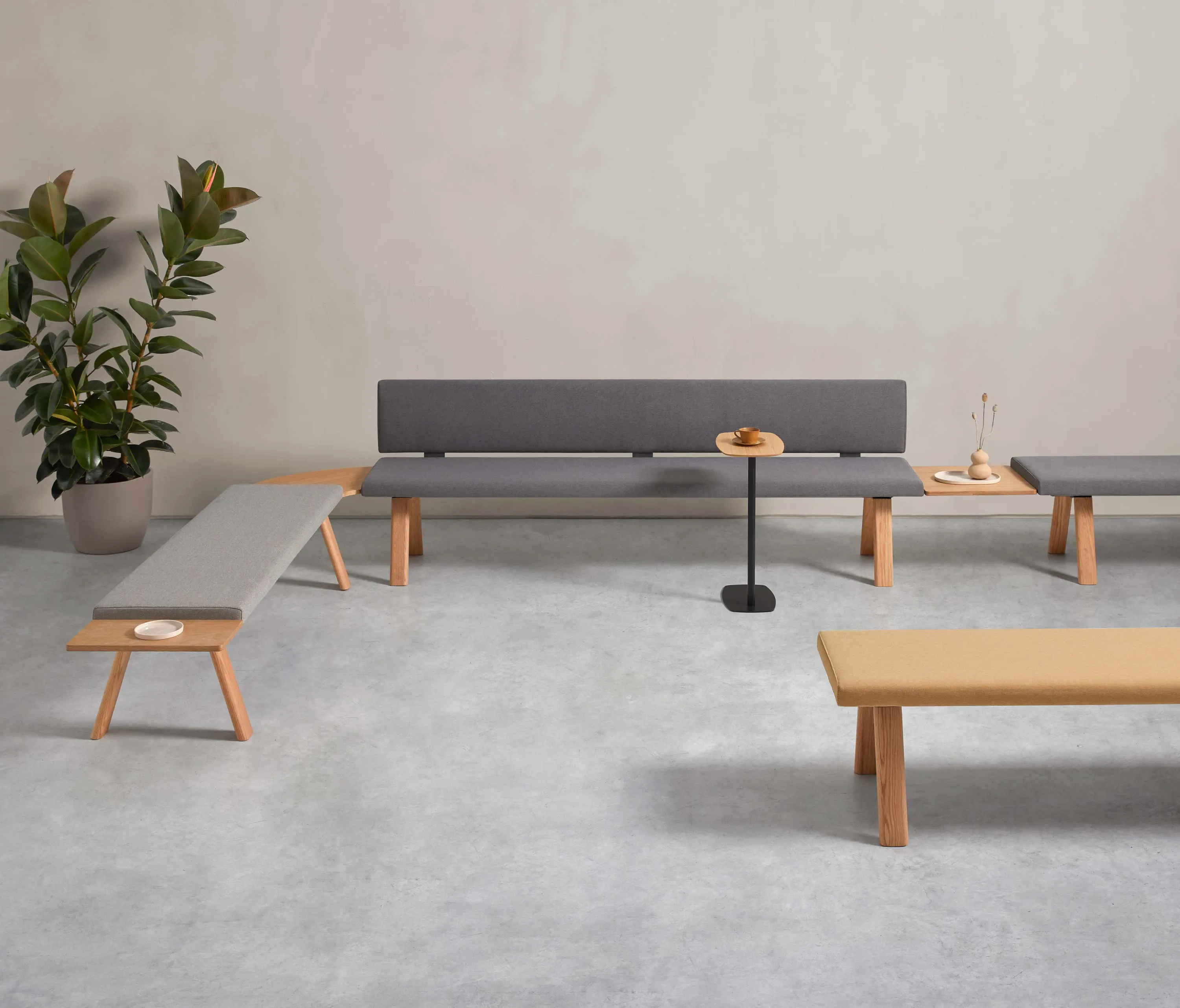Inclass - Plania Bench