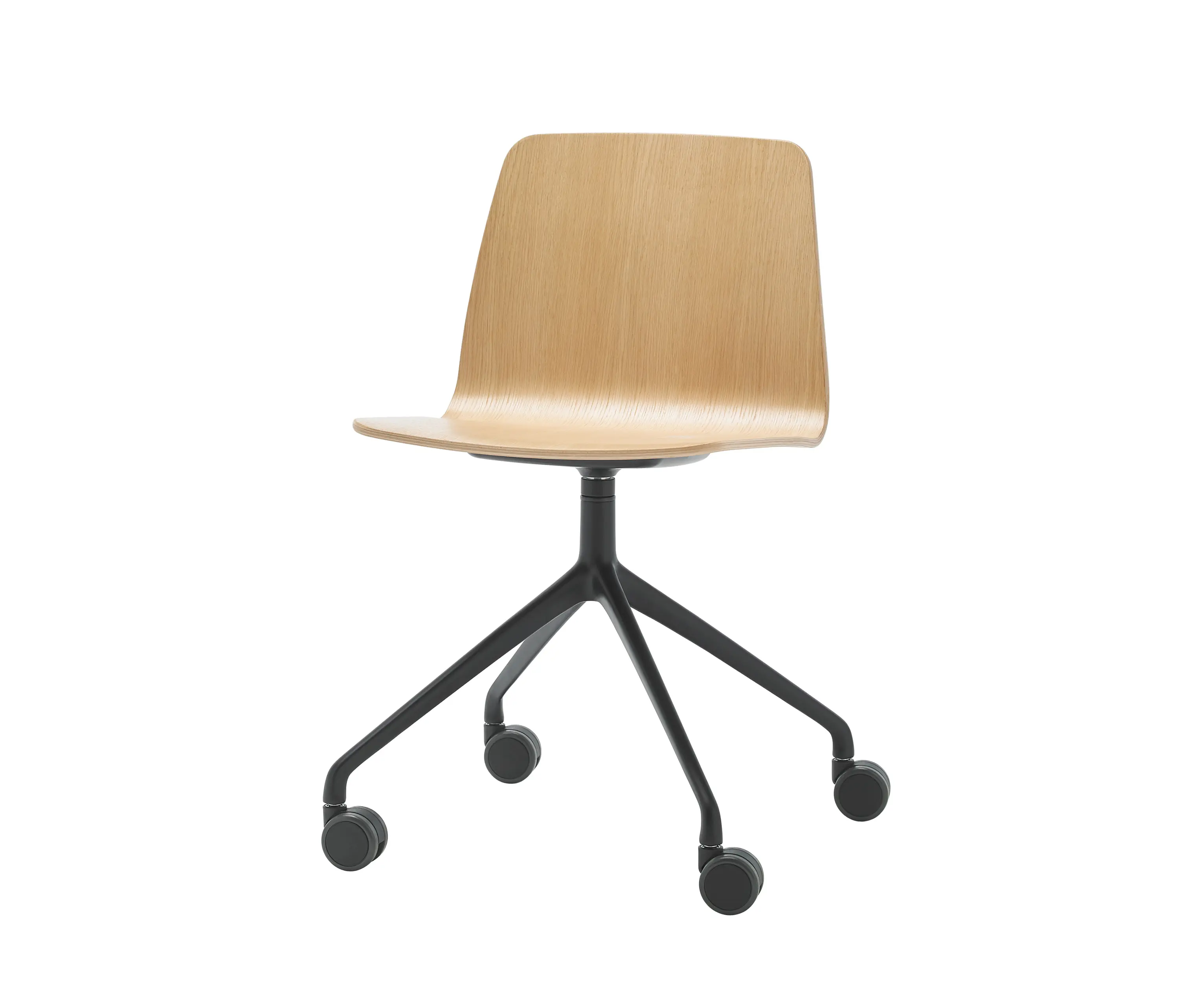 Inclass - Varya Wood