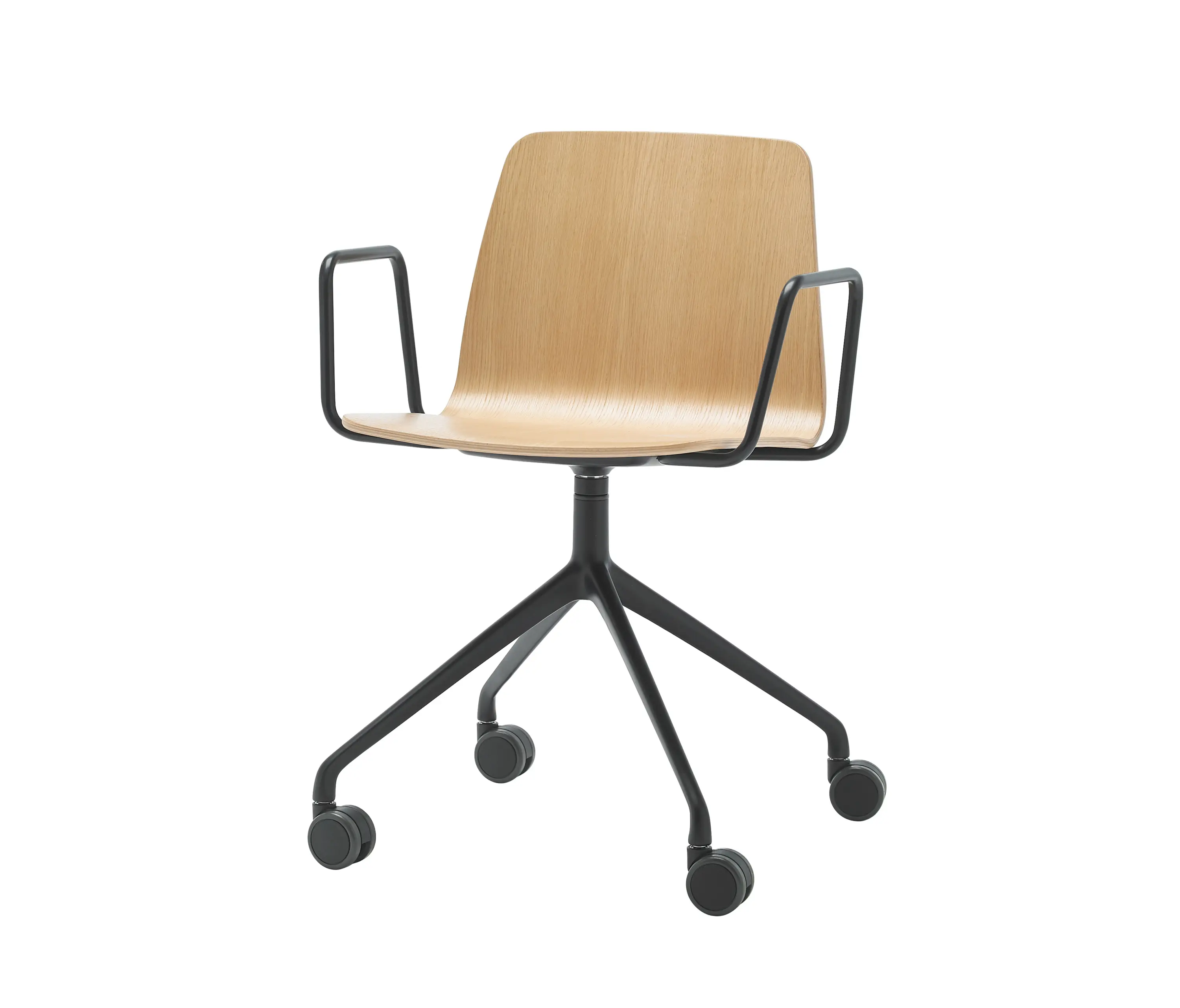 Inclass - Varya Wood