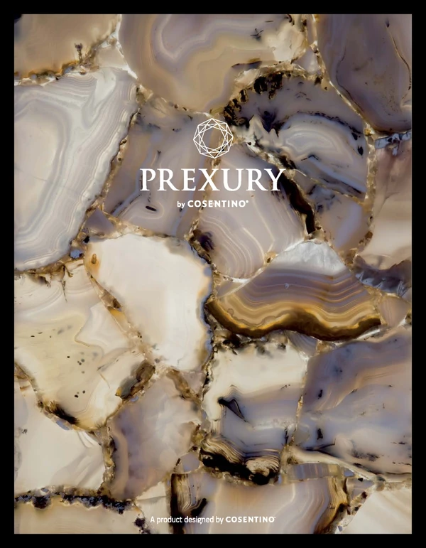 Imagen de vista previa del archivo PREXURY