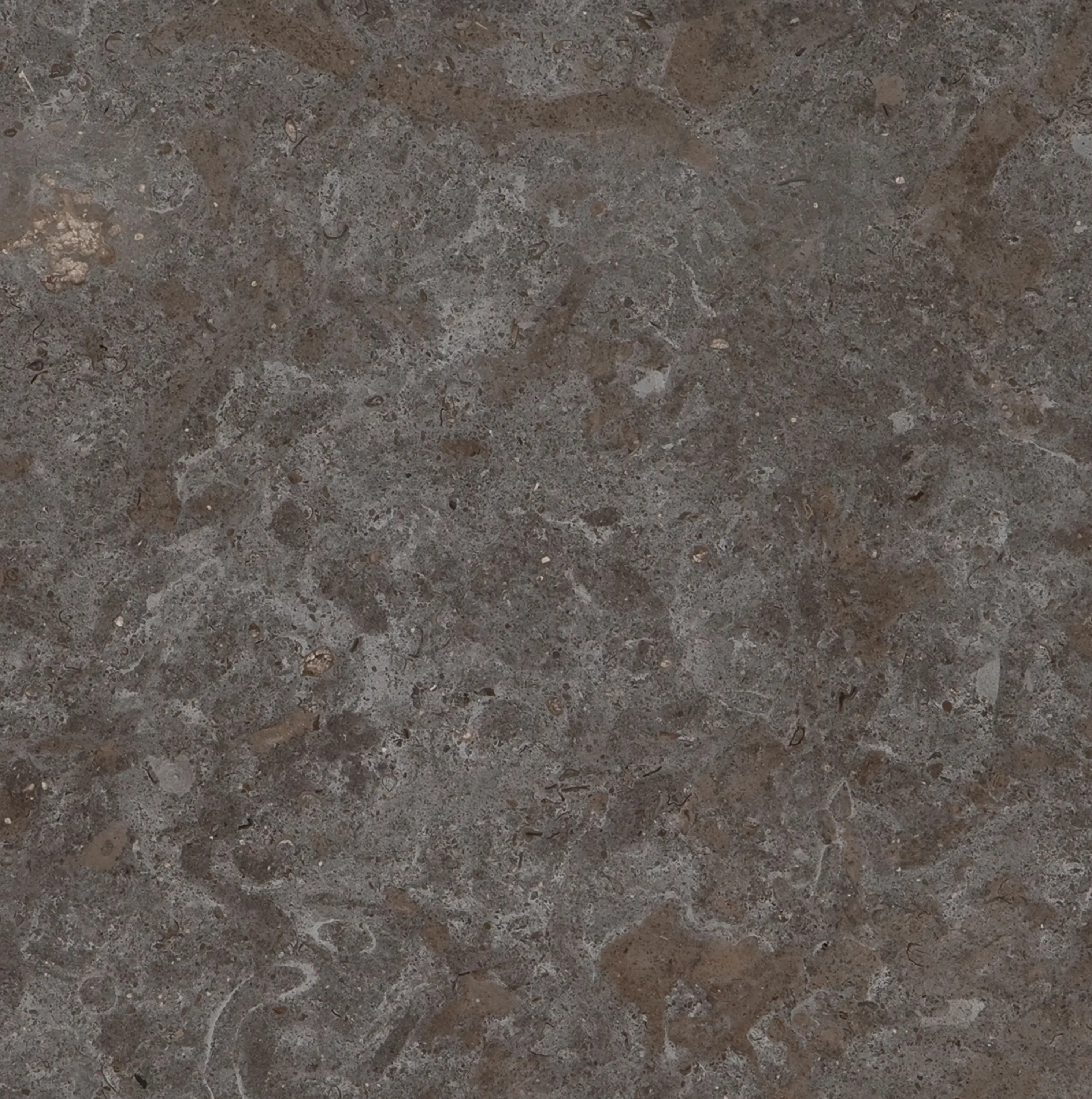 Cosentino - Scalea Marble New Gris Viola