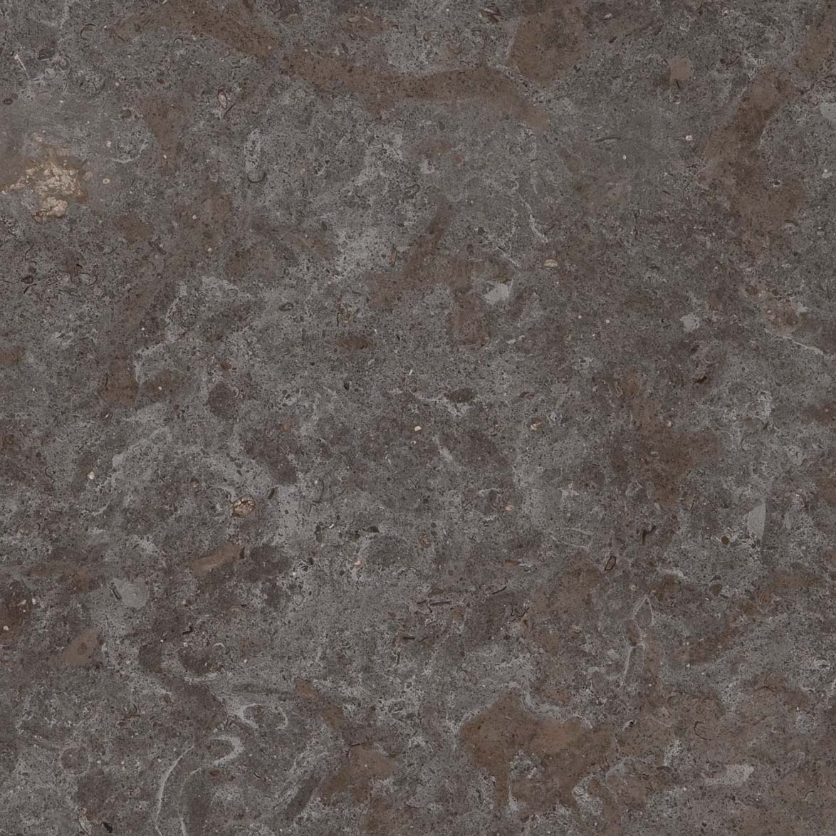 Produkt Scalea Marble New Gris Viola des Herstellers Cosentino anzeigen