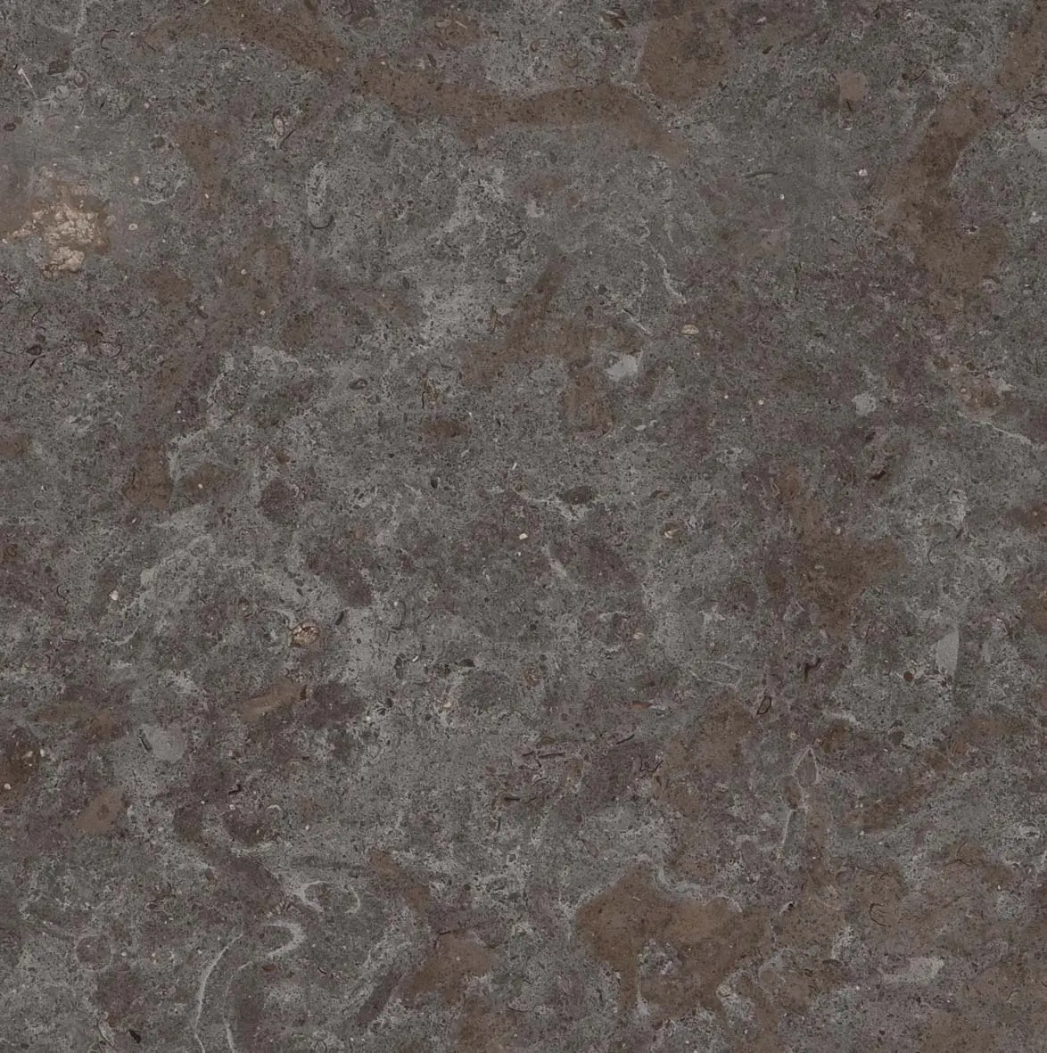 Cosentino - Scalea Marble New Gris Viola