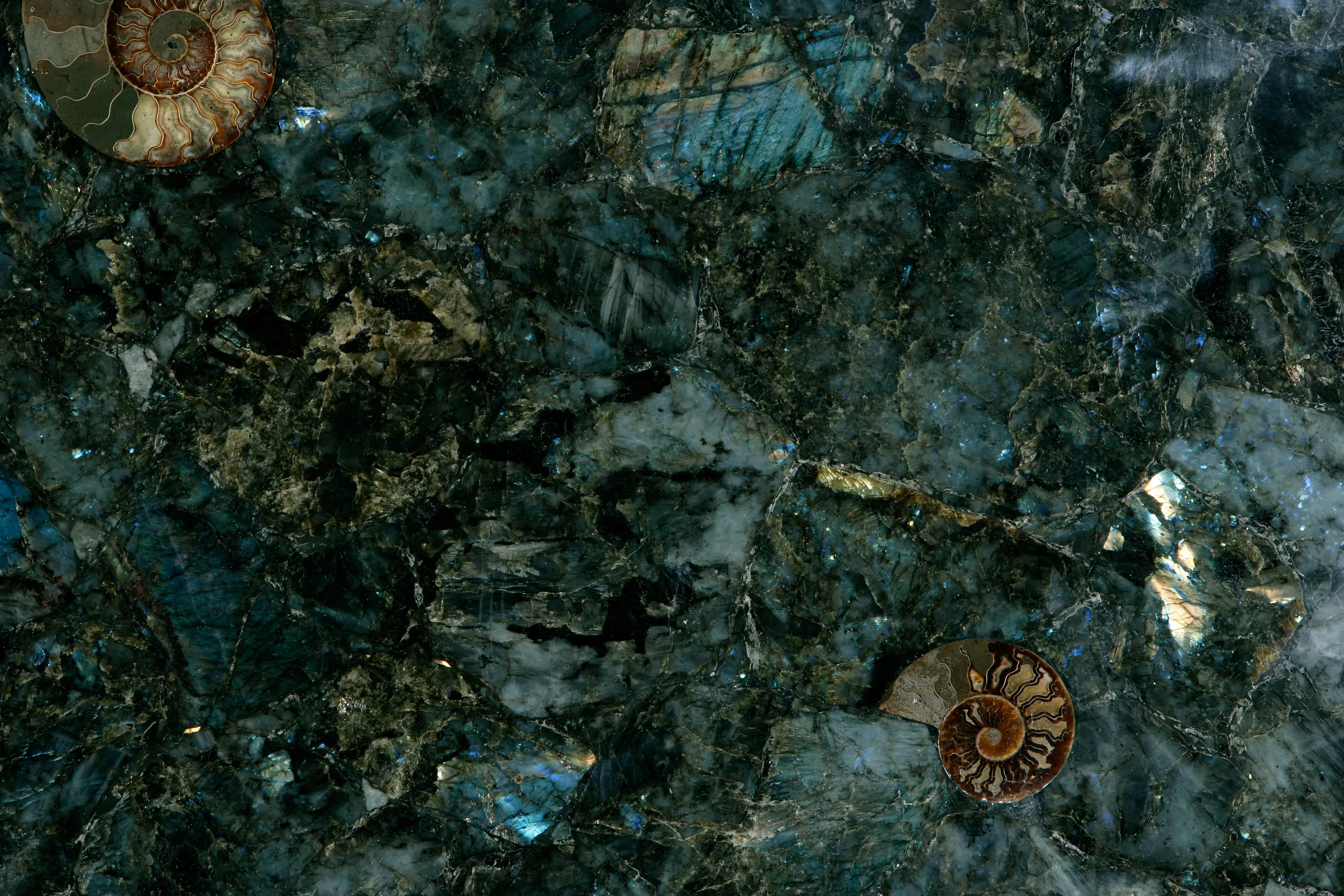 Cosentino - Prexury Labradorite