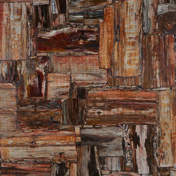 Mostra il prodotto Prexury Retro Petrified Wood del produttore Cosentino