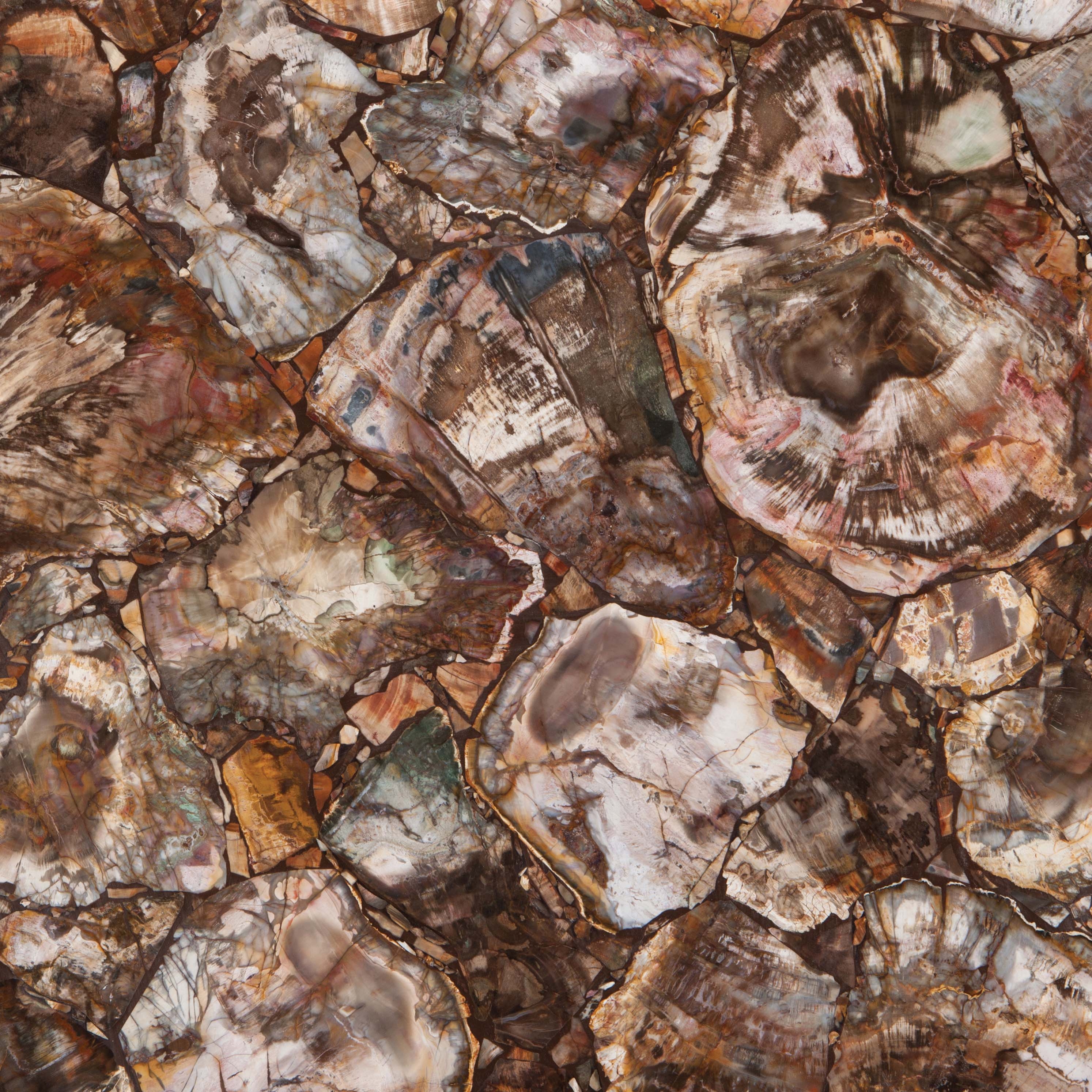 Produkt Prexury Petrified Wood des Herstellers Cosentino anzeigen