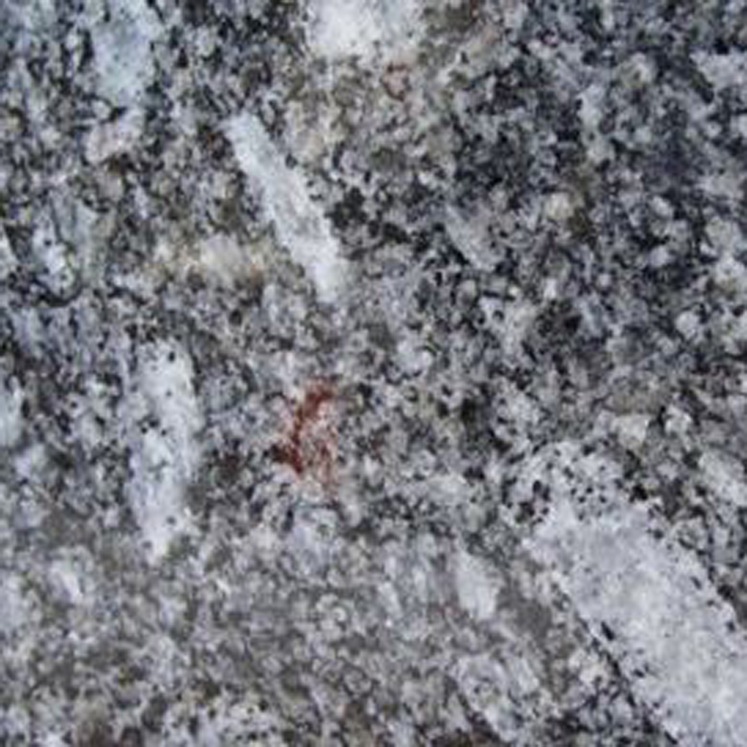 Mostrar el producto Scalea Granite Azul Noche del fabricante Cosentino