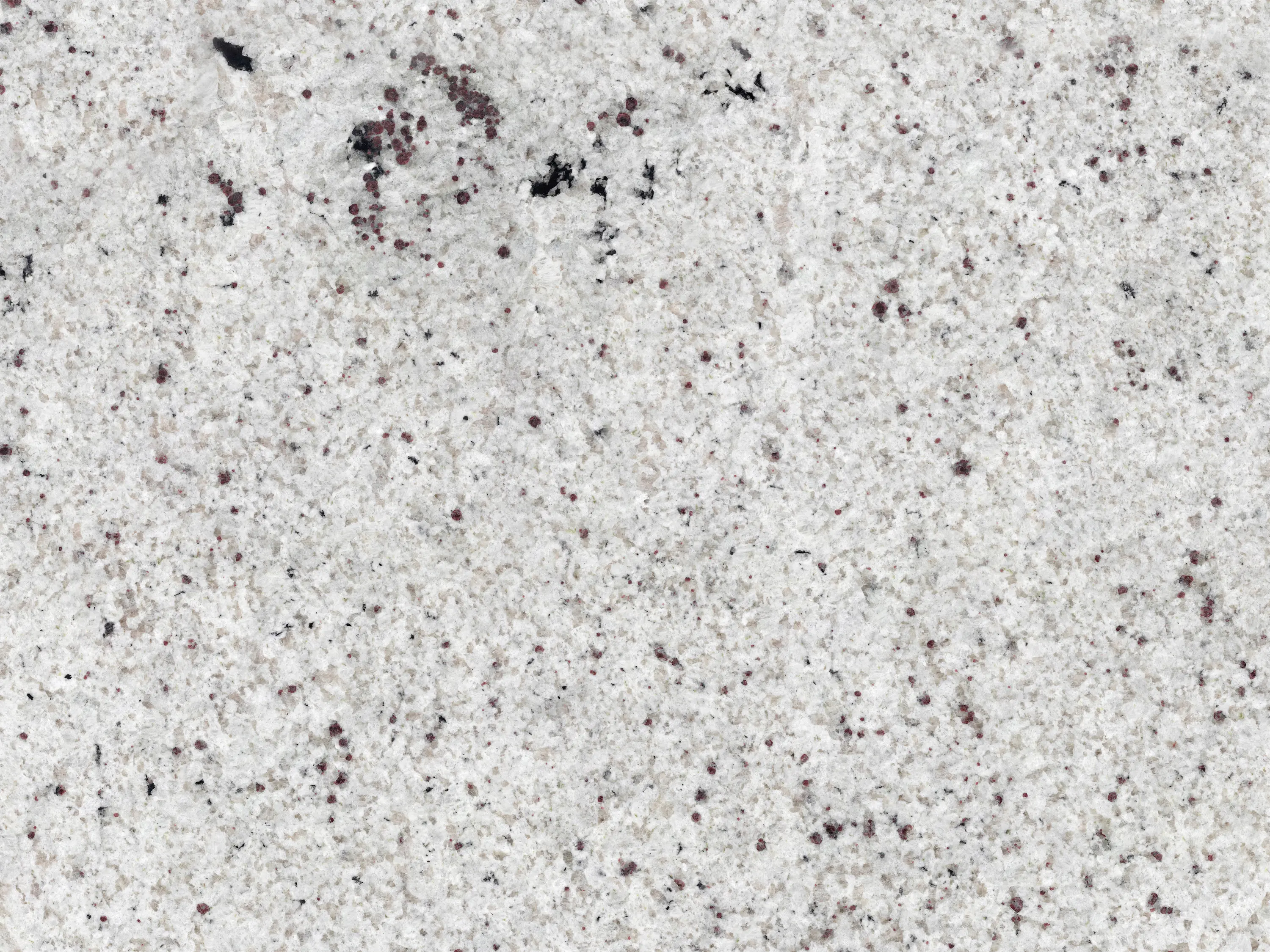 CONPE10 white白【COLONISTA】 Colonista CONPE10 White