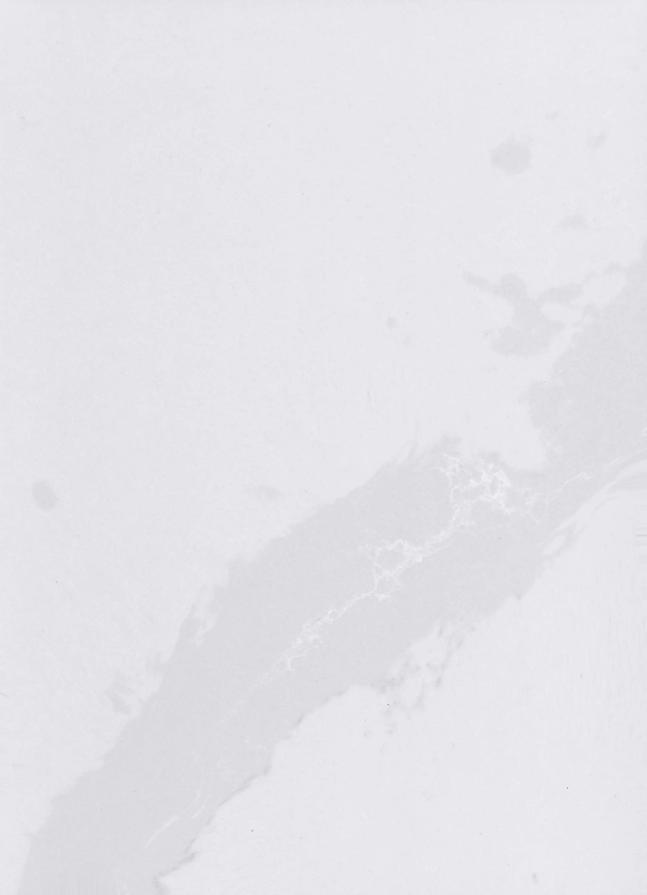 gallery-slide-0