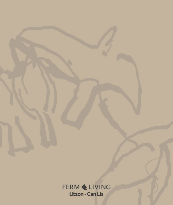 Immagine di anteprima del file Meditations on Can Lis