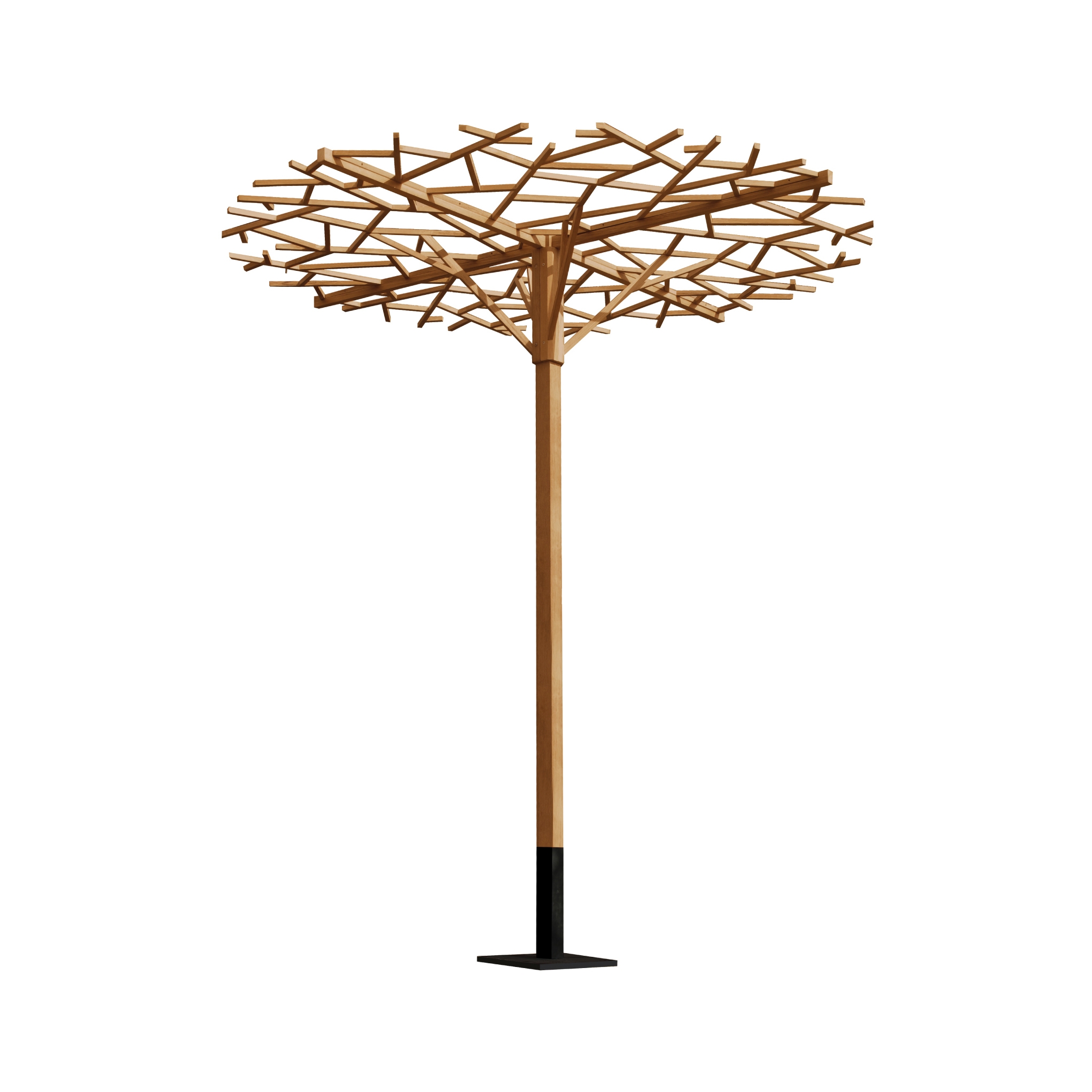 Nest Tree 2.5