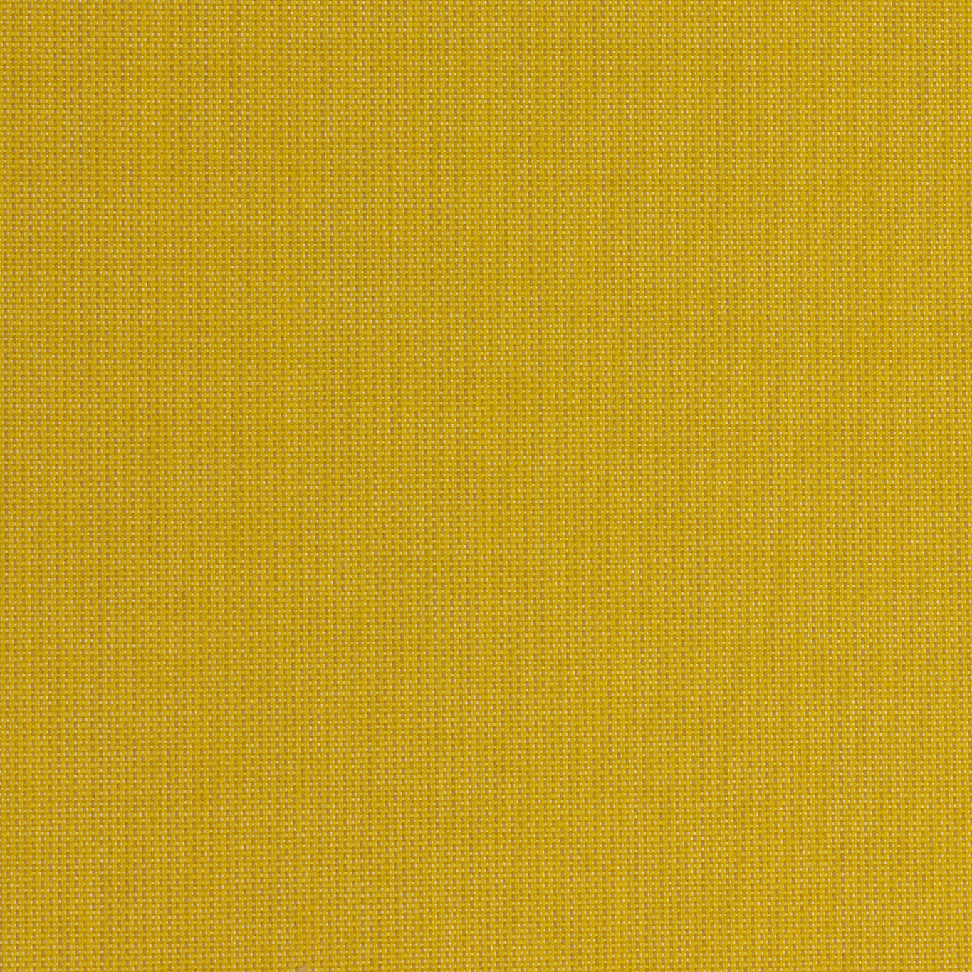 Display product Sunbrella Sling 3938 Mimosa from manufacturer Design2Chill