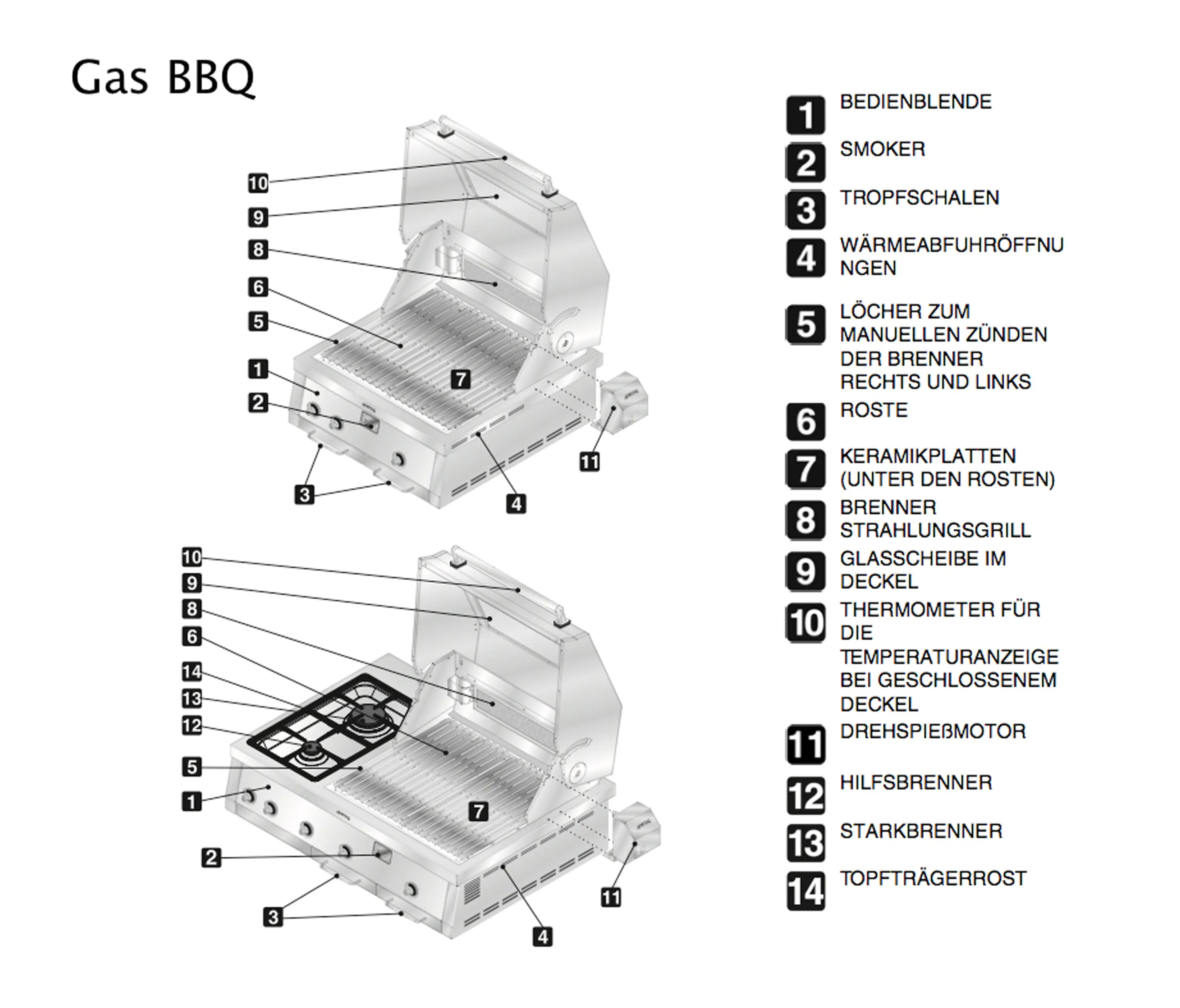 Kaufmann Green - T-Bone Rare