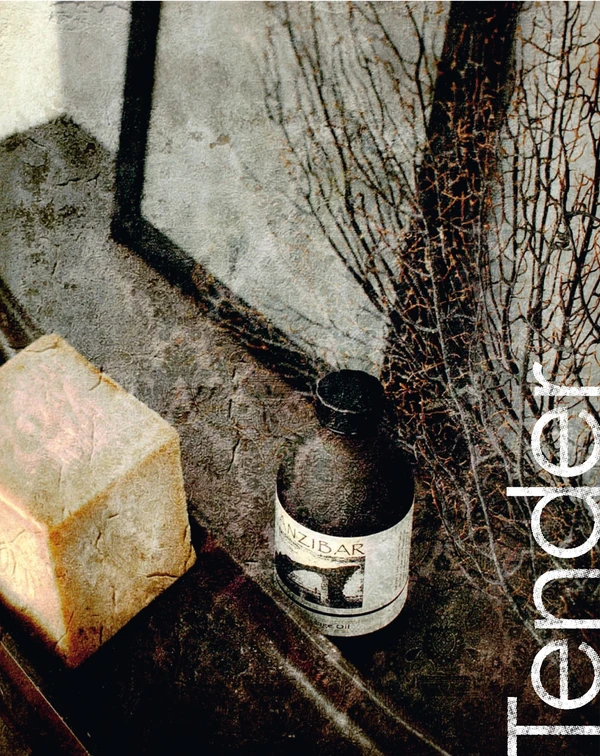 Imagen de vista previa del archivo Tender