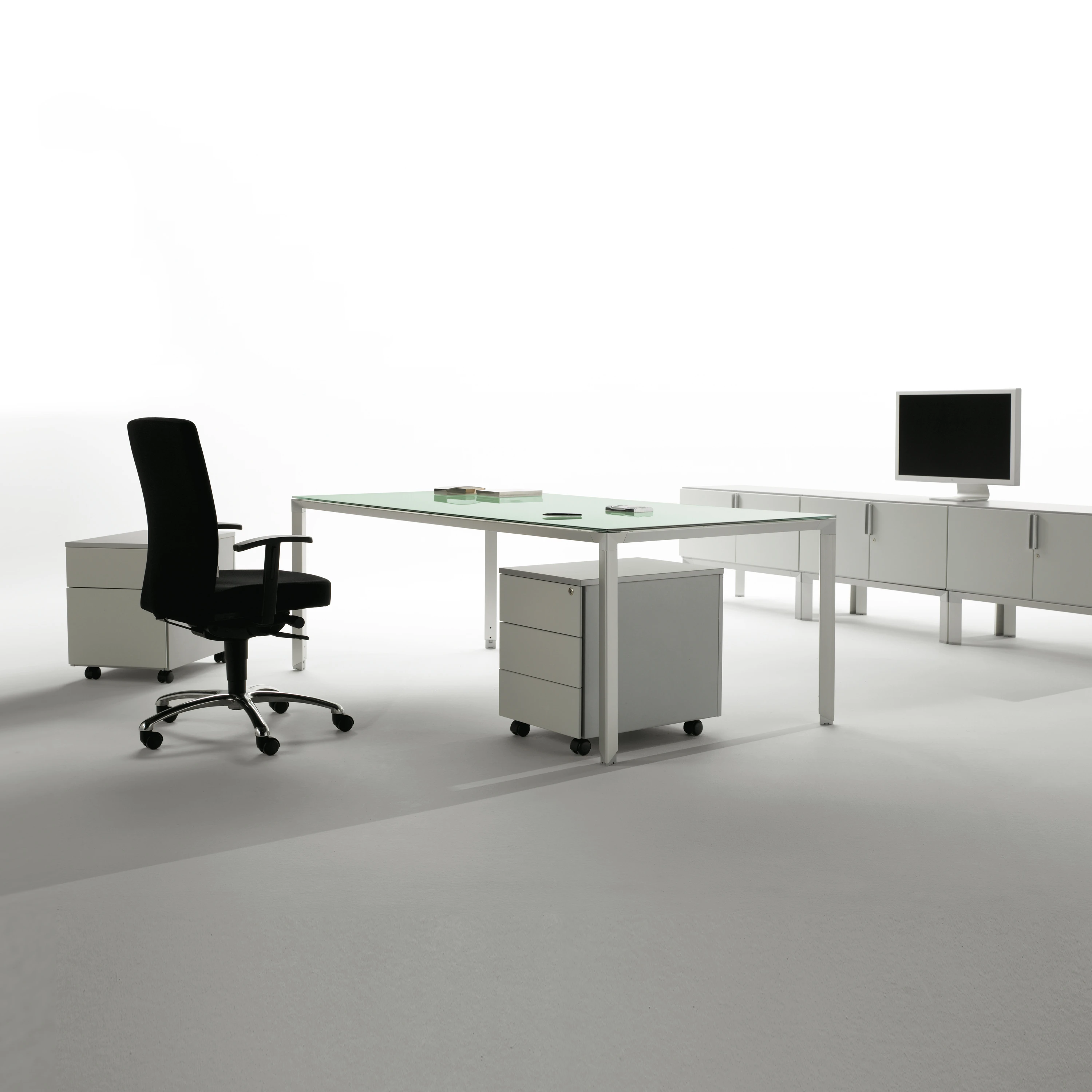 EXECUTIVE OFFICES