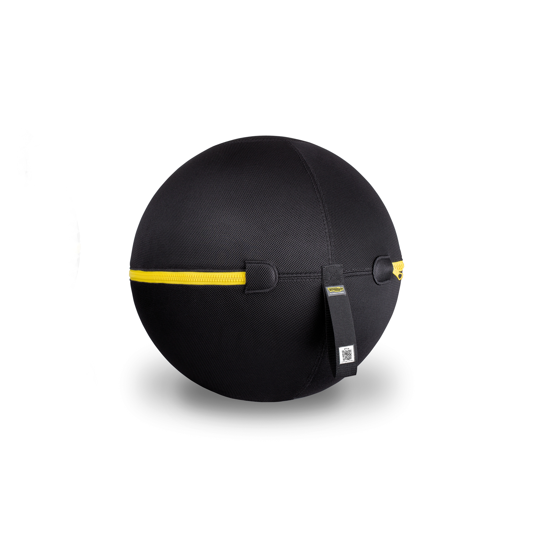 Mostra il prodotto Wellness Ball del produttore Technogym