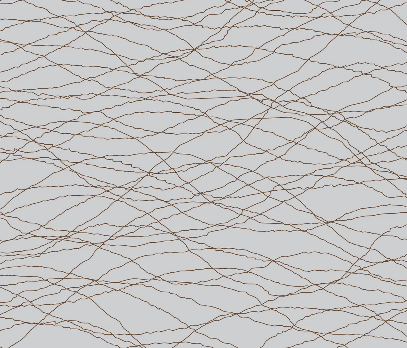 Sabine Röhse - Linien I Geflecht | col2