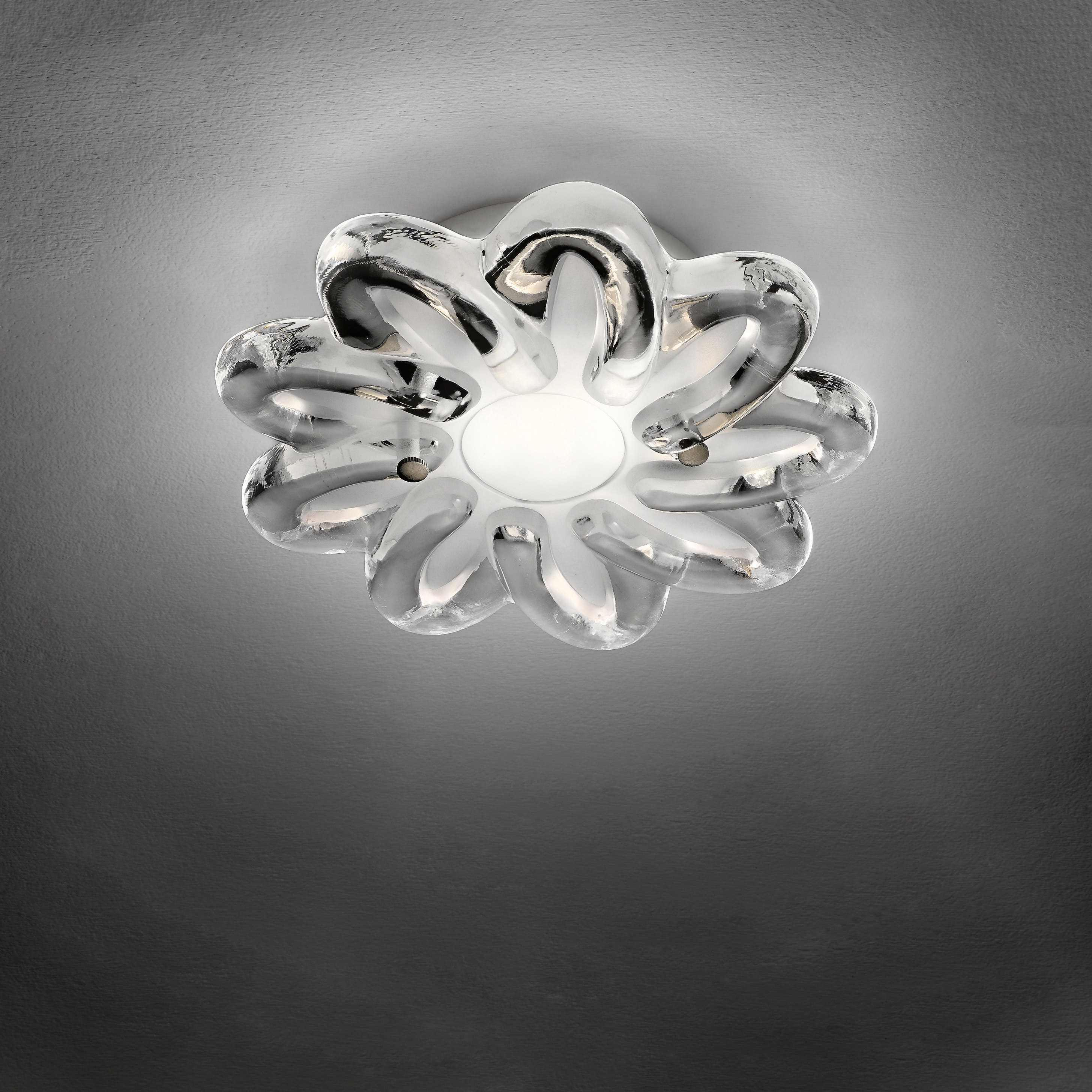 SPOTLIGHT