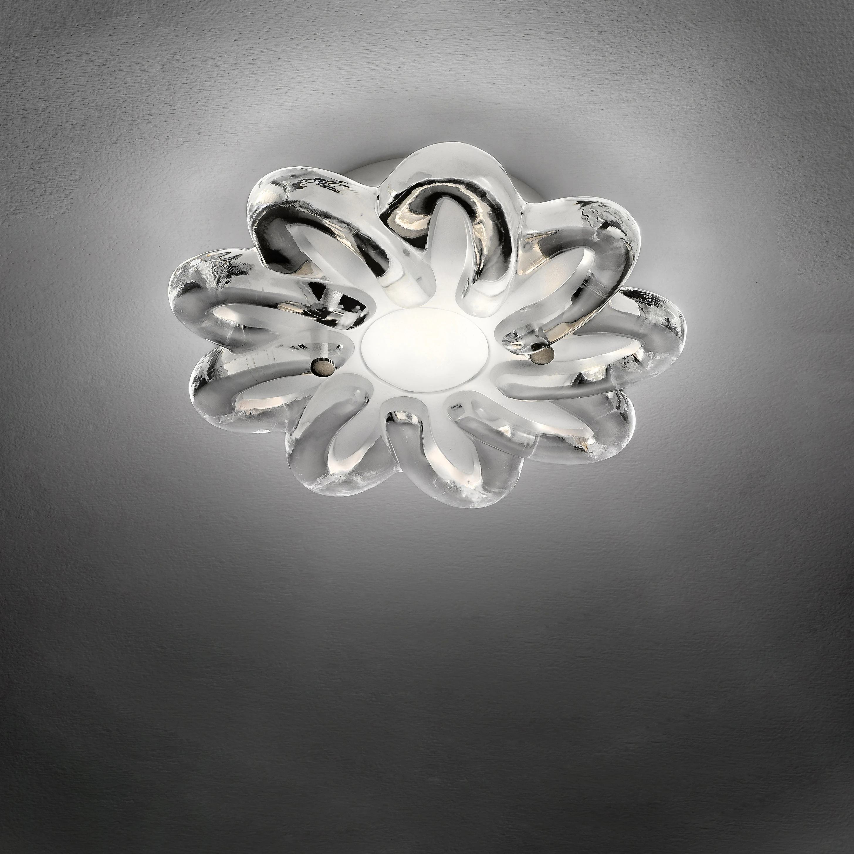 SPOTLIGHT
