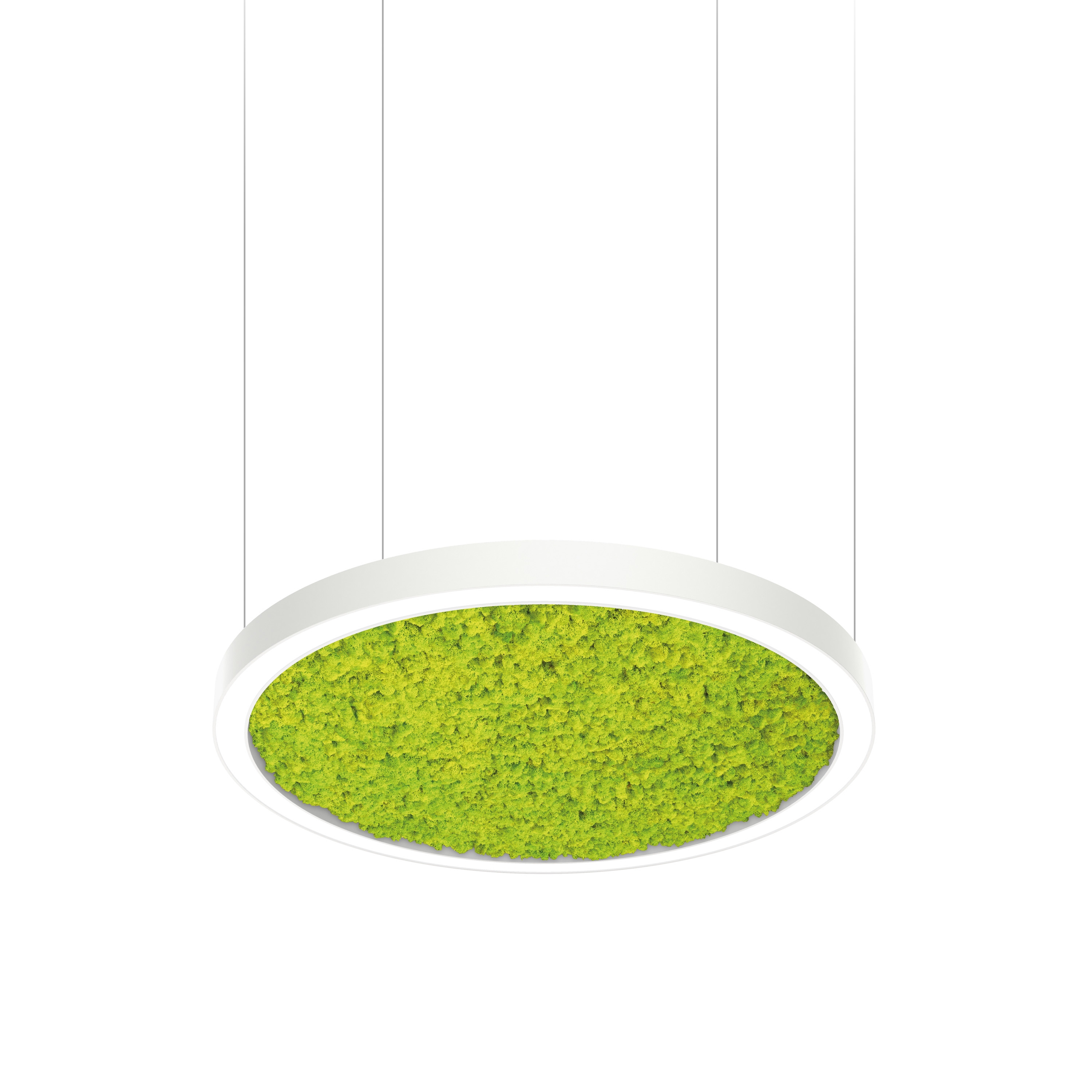 Display product Acousto Round from manufacturer Intra lighting