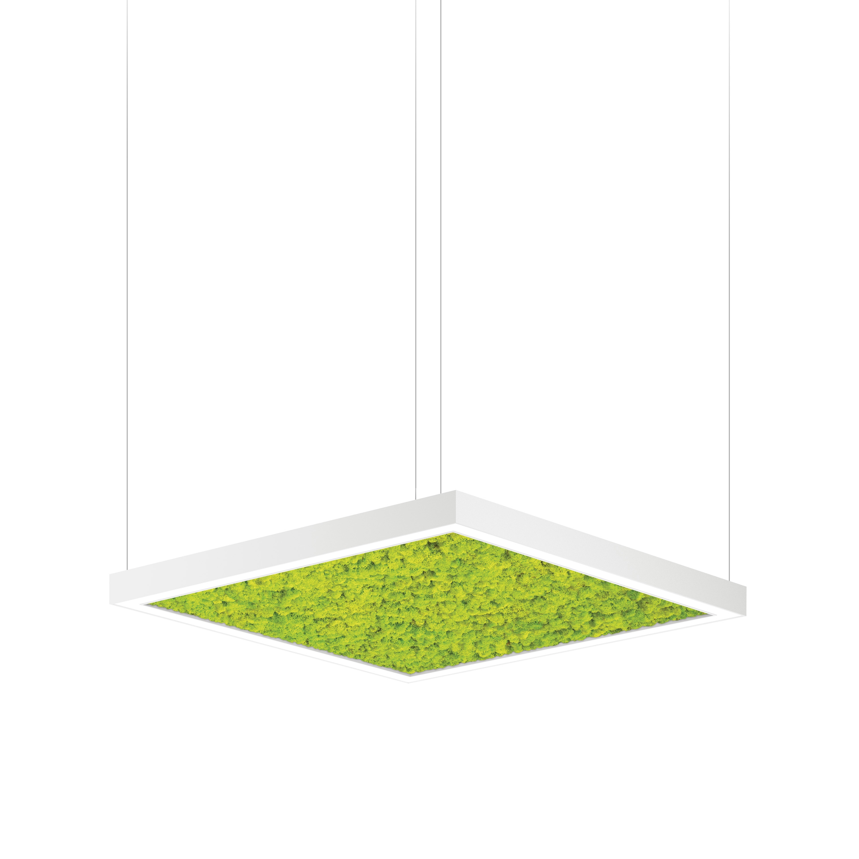 Display product Acousto Square from manufacturer Intra lighting