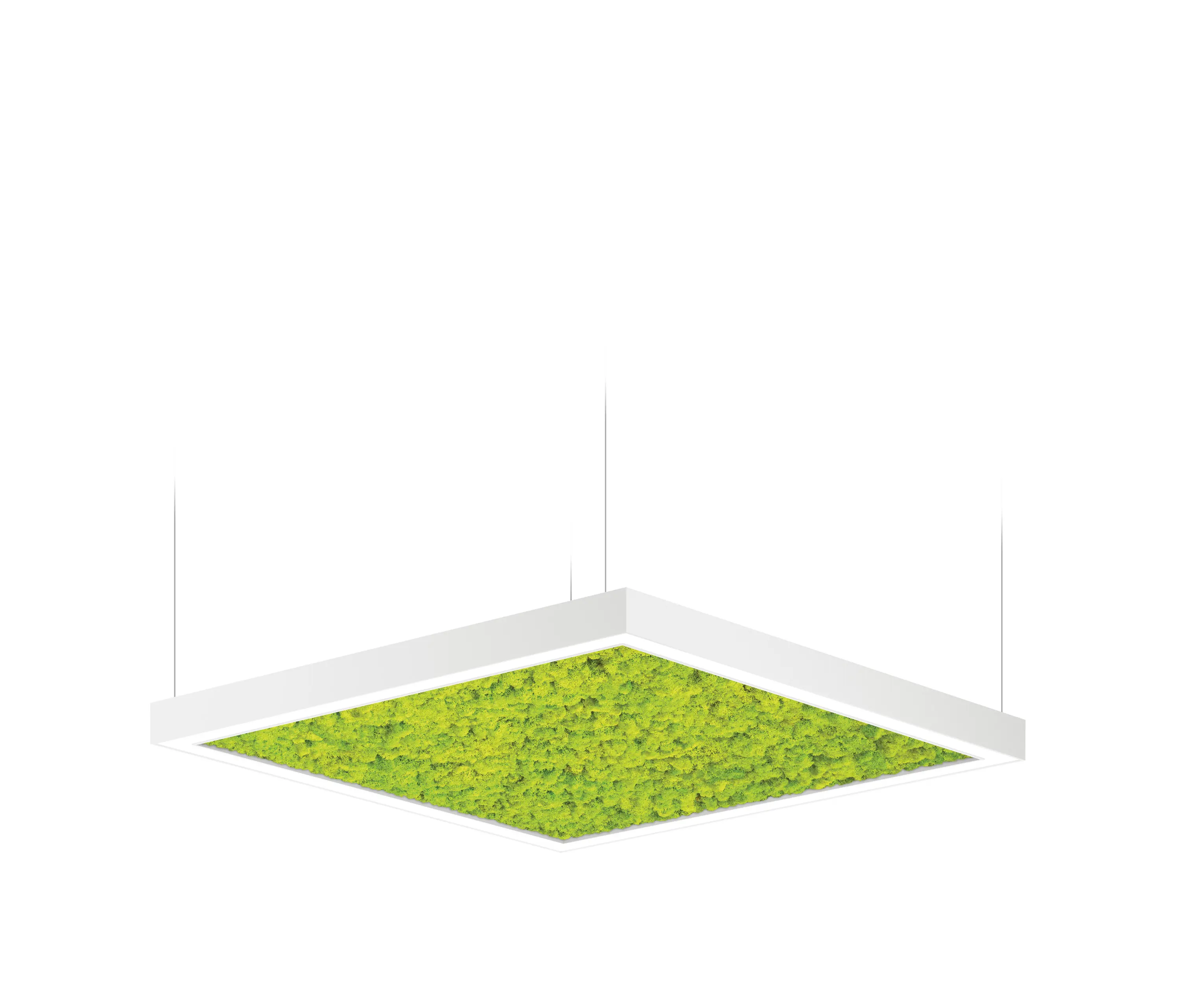 Intra lighting - Acousto Square
