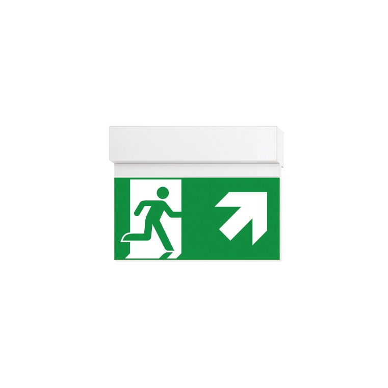 Display product Ikus2211-T from manufacturer Daisalux