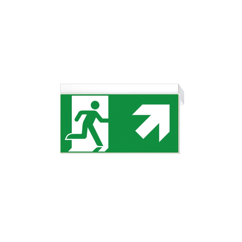 Display product Ikus2211-P from manufacturer Daisalux