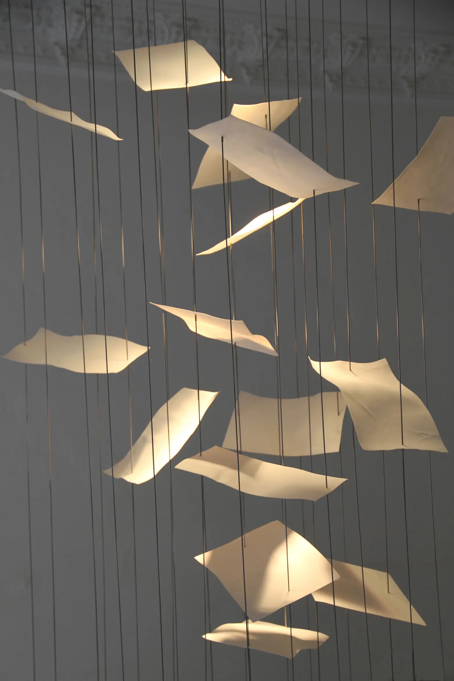 Cordula Kafka - Leaves