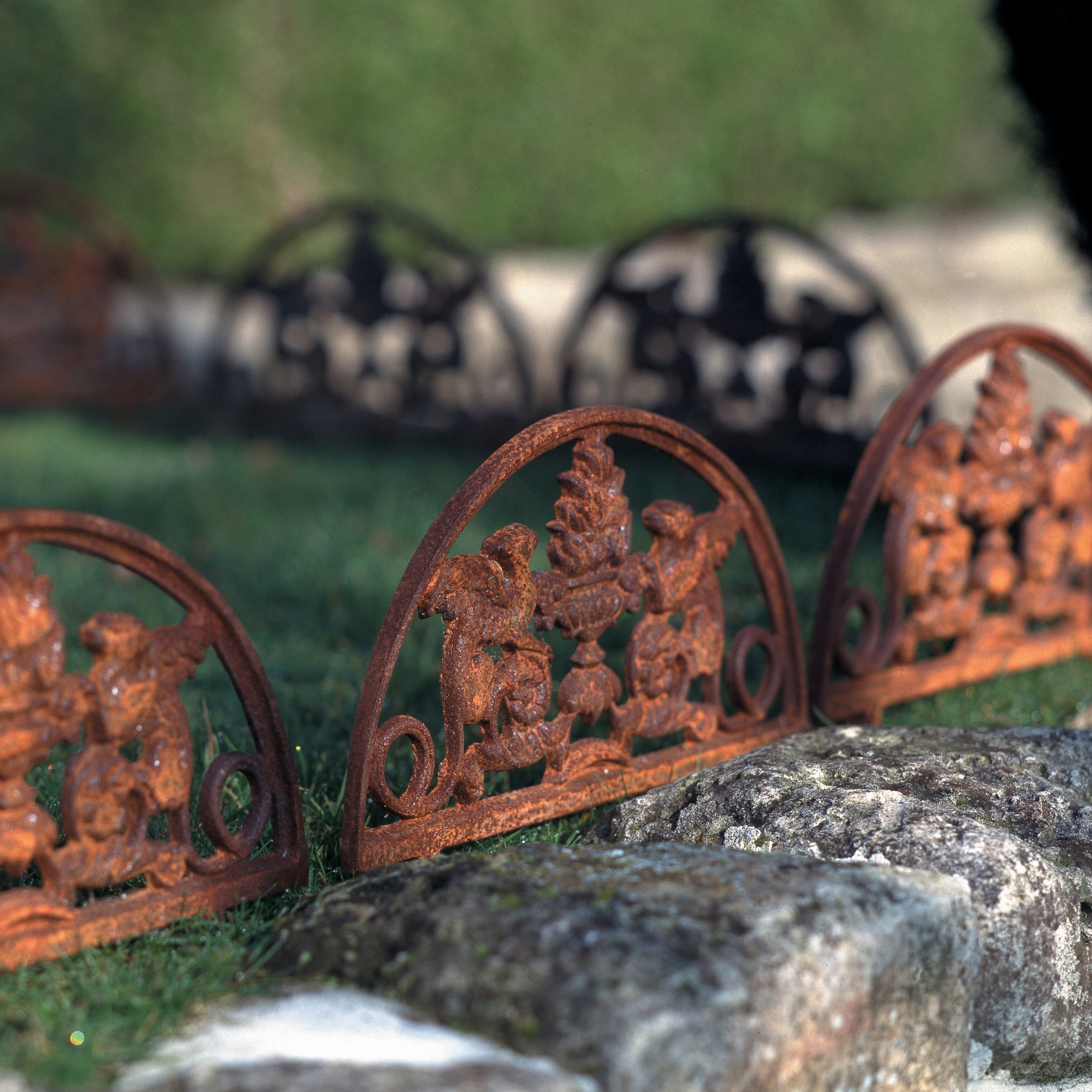 Display product Bordurette - Dragon from manufacturer TRADEWINDS
