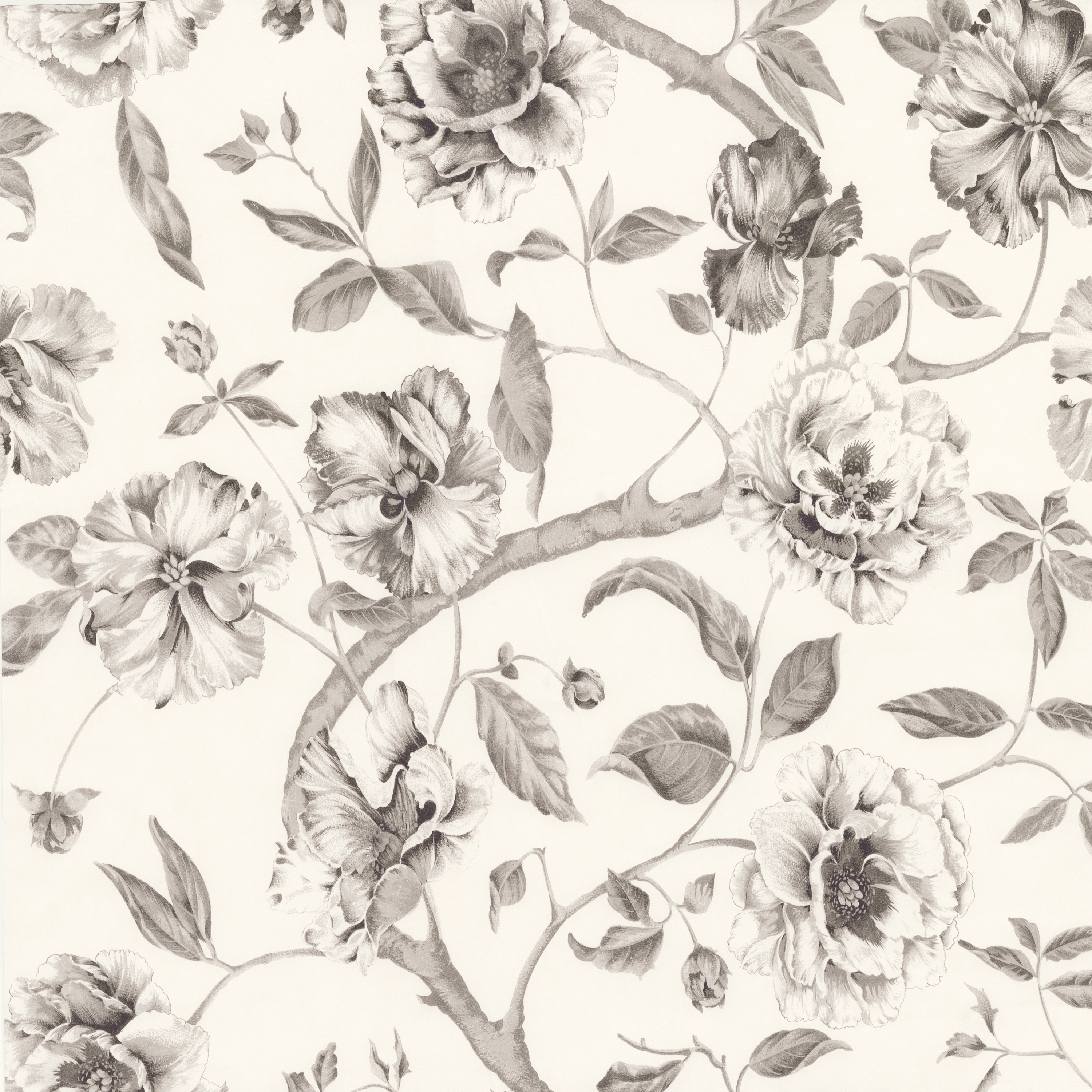 Display product Adagio Gris from manufacturer Equipo DRT