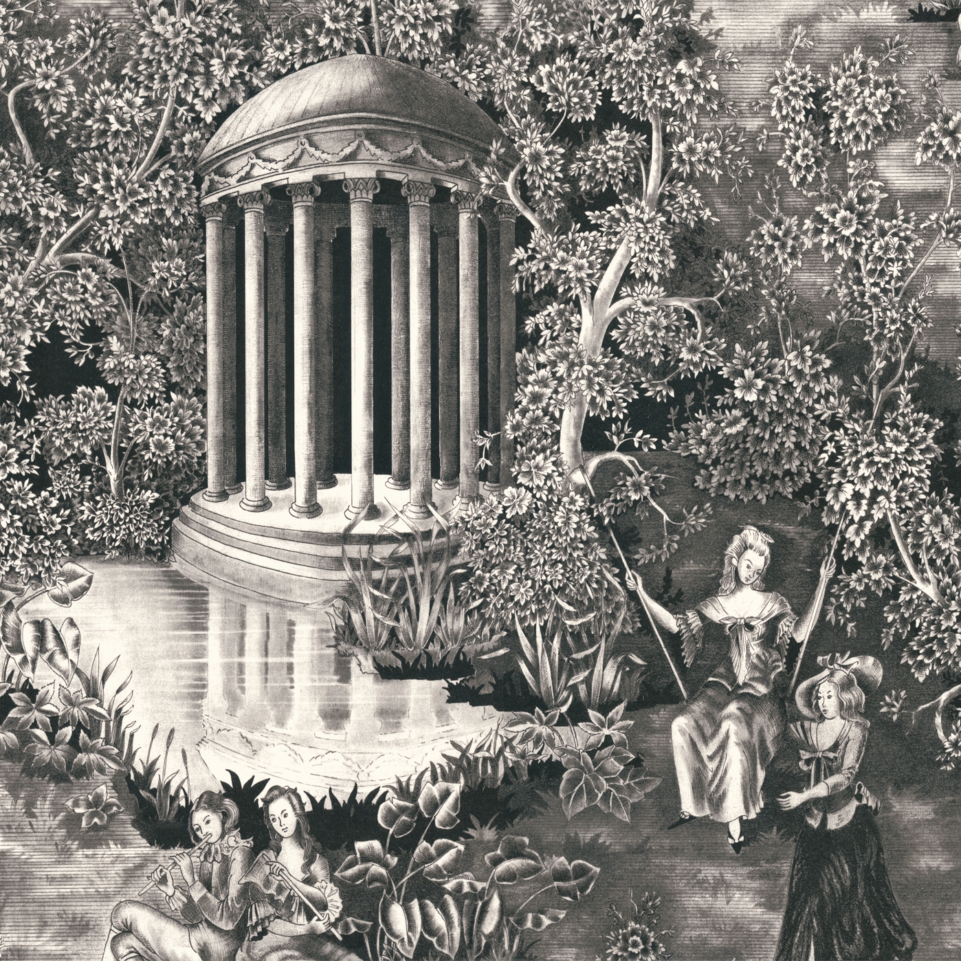 Andantino Negro