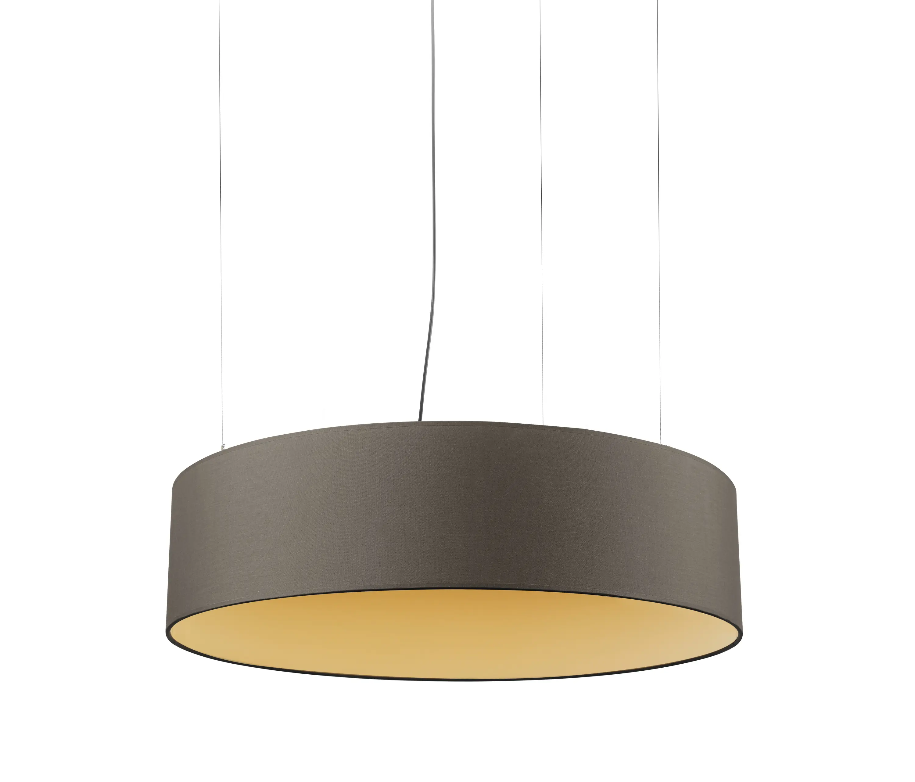 Pujol - Basic C-142 | 50