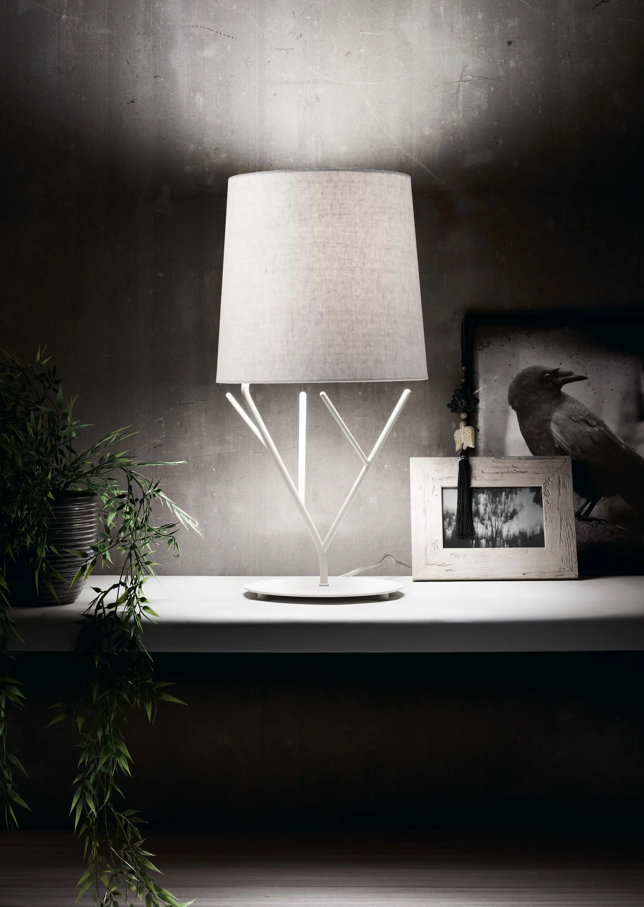 Faro - Tree 29865