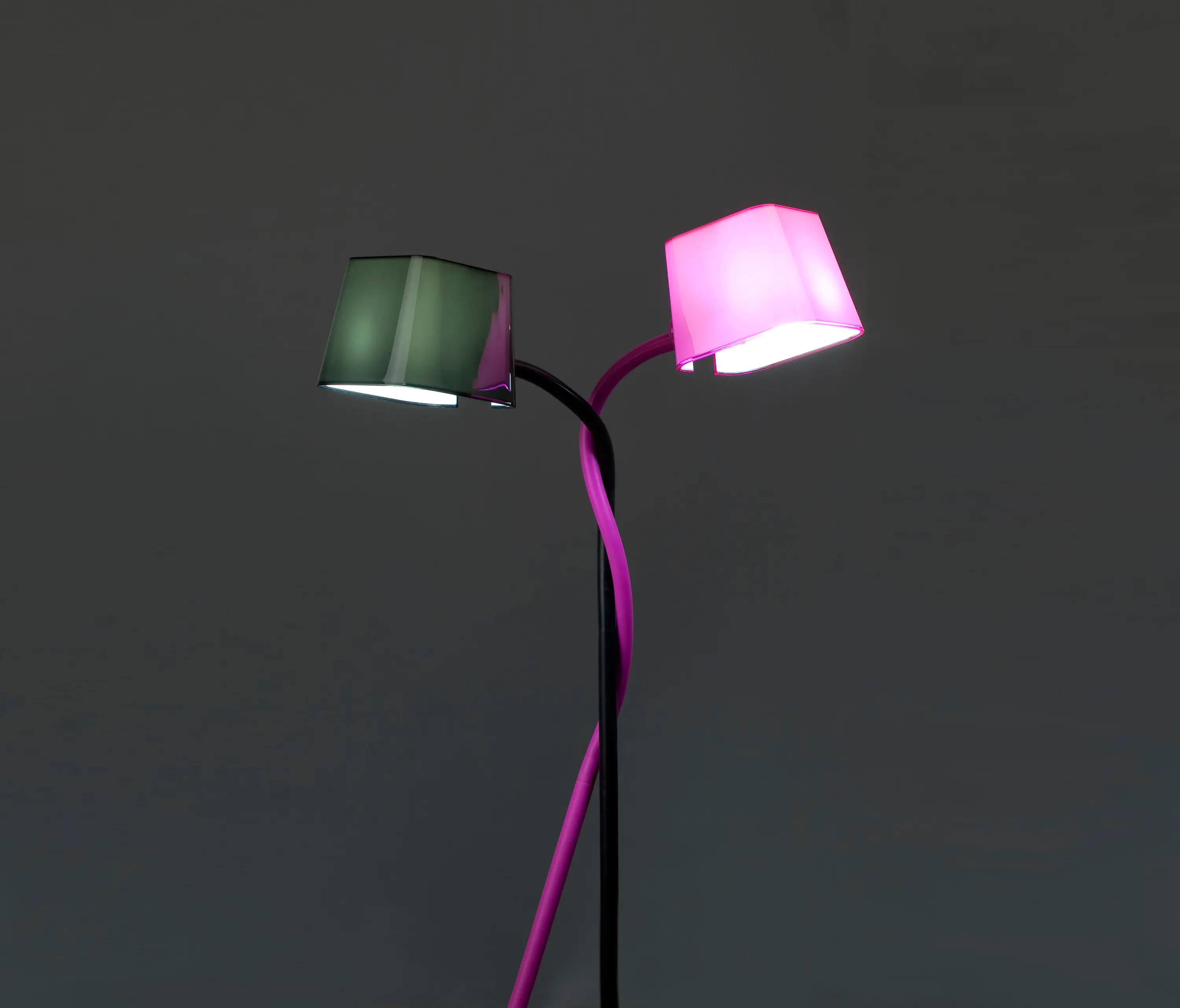 Faro - Flexi table lamp