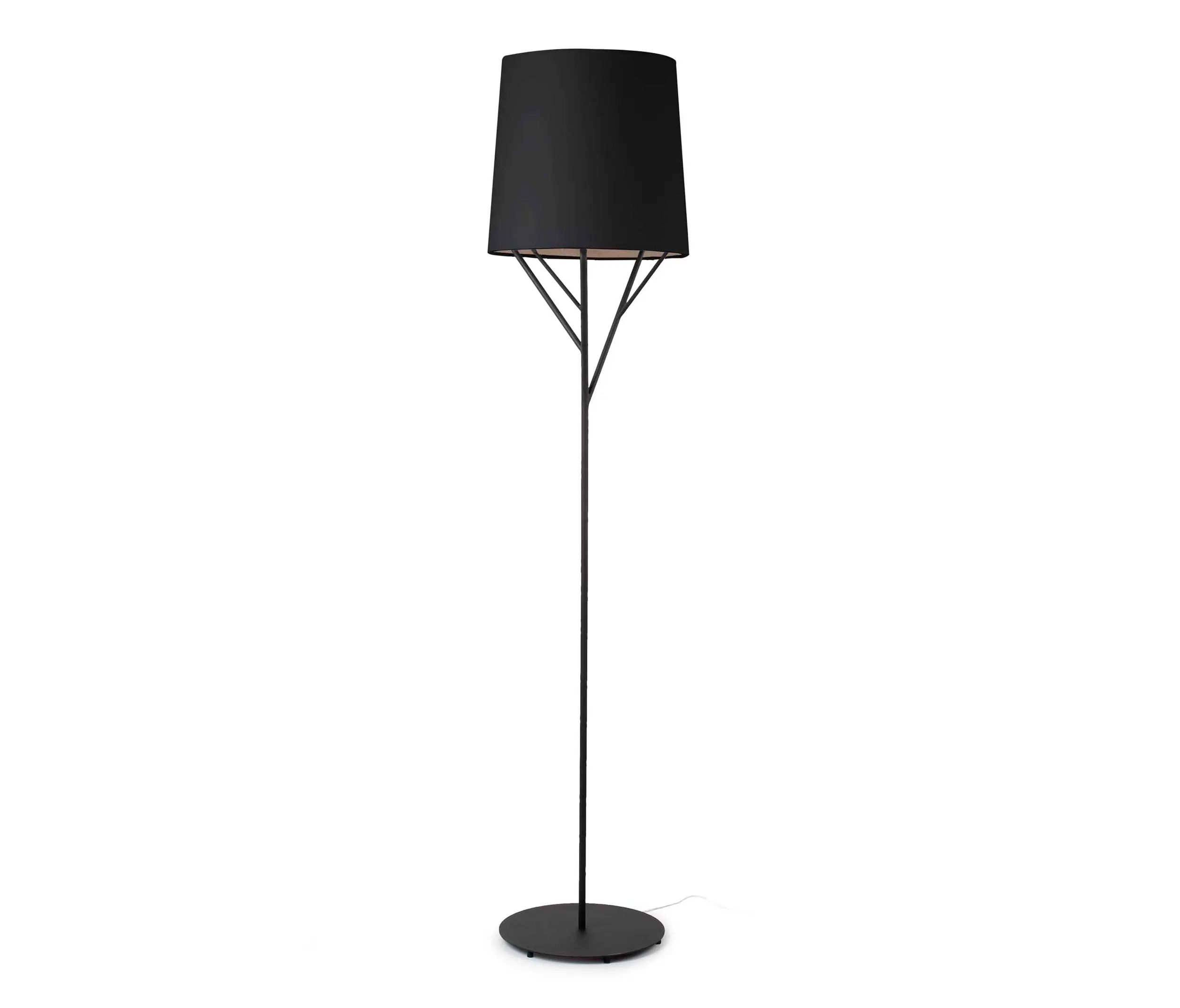 Faro - Tree 29868