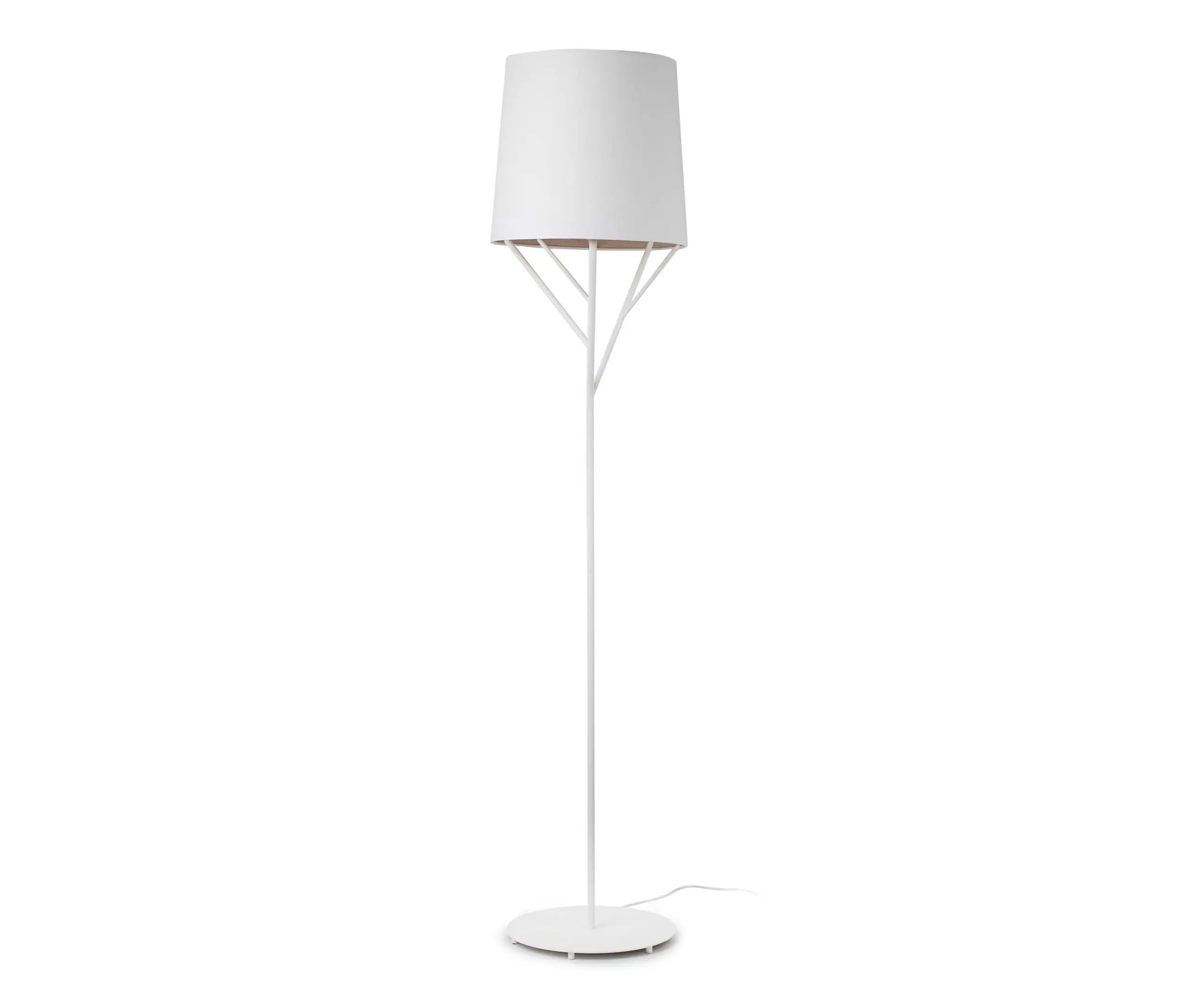 Faro - Tree 29869