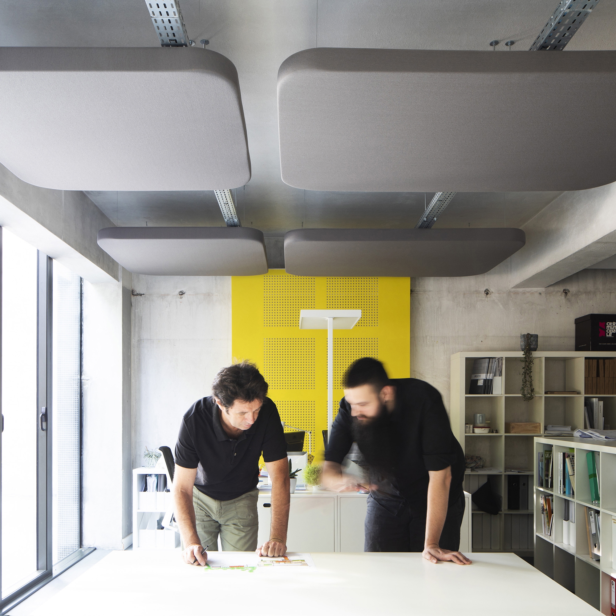 Mostrar el producto Abso acoustic cushions del fabricante Texaa®