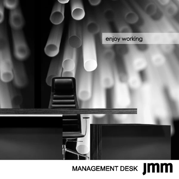 Immagine di anteprima del file JMM - Management Desk 2012