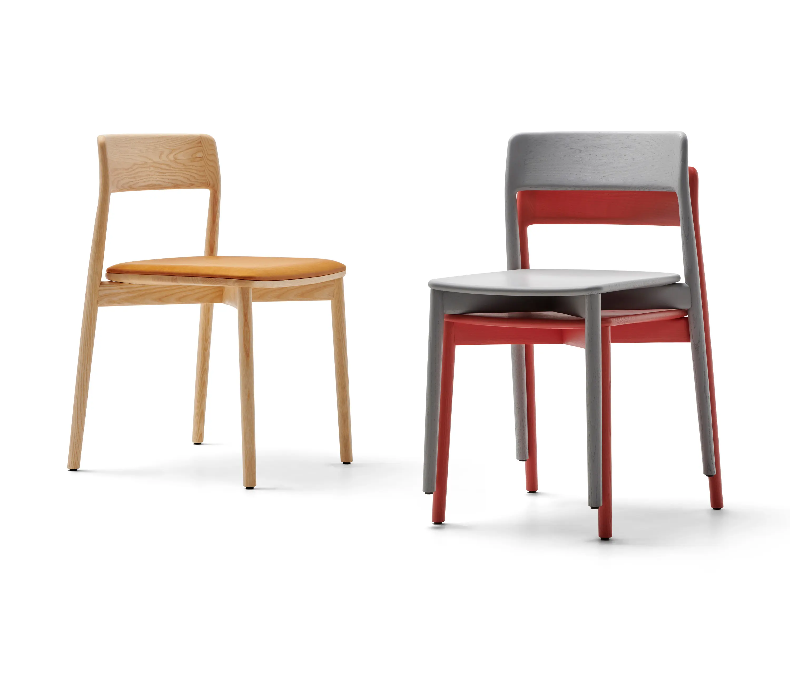 Mattiazzi - Seta Chair | MC24