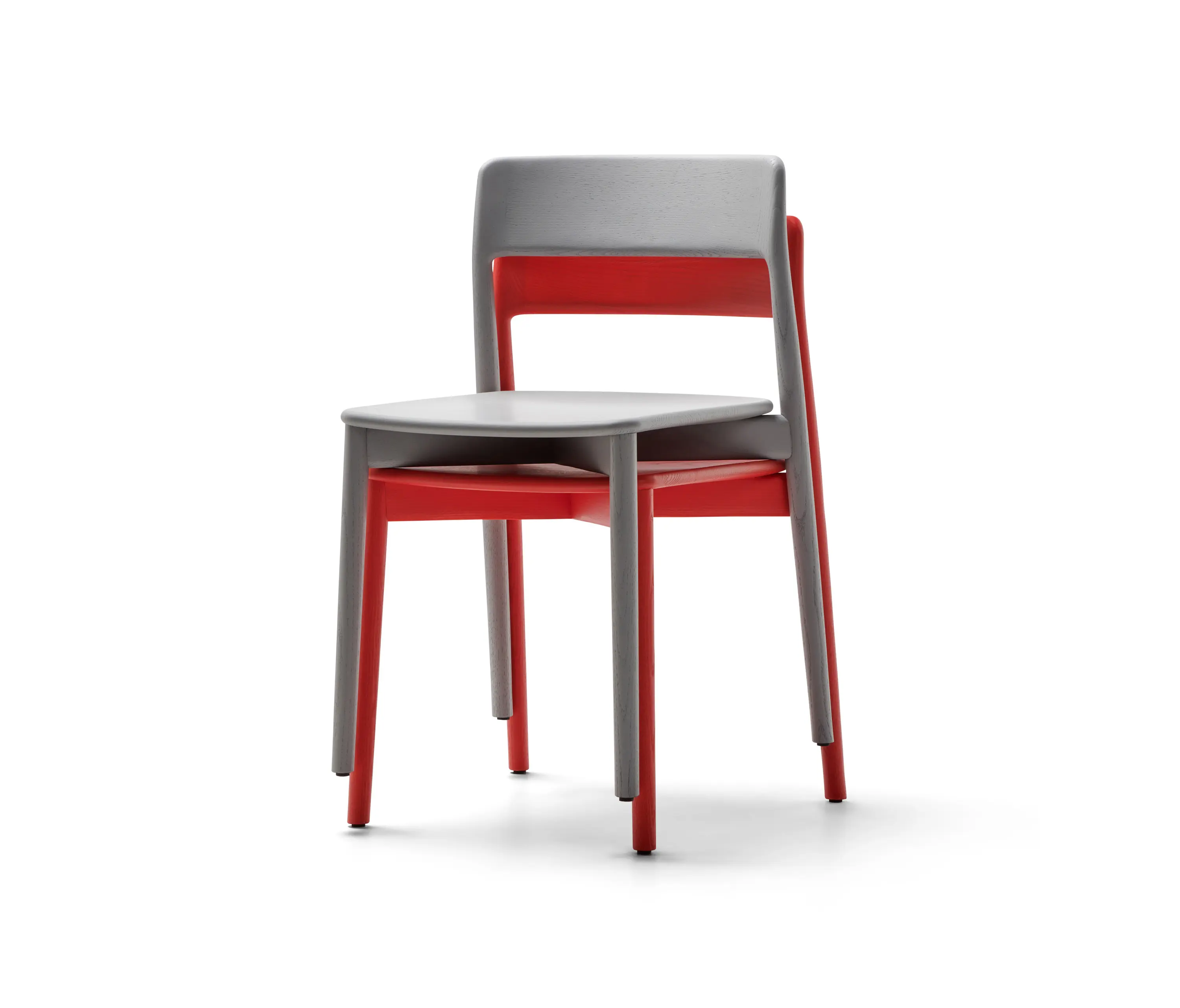 Mattiazzi - Seta Chair | MC24