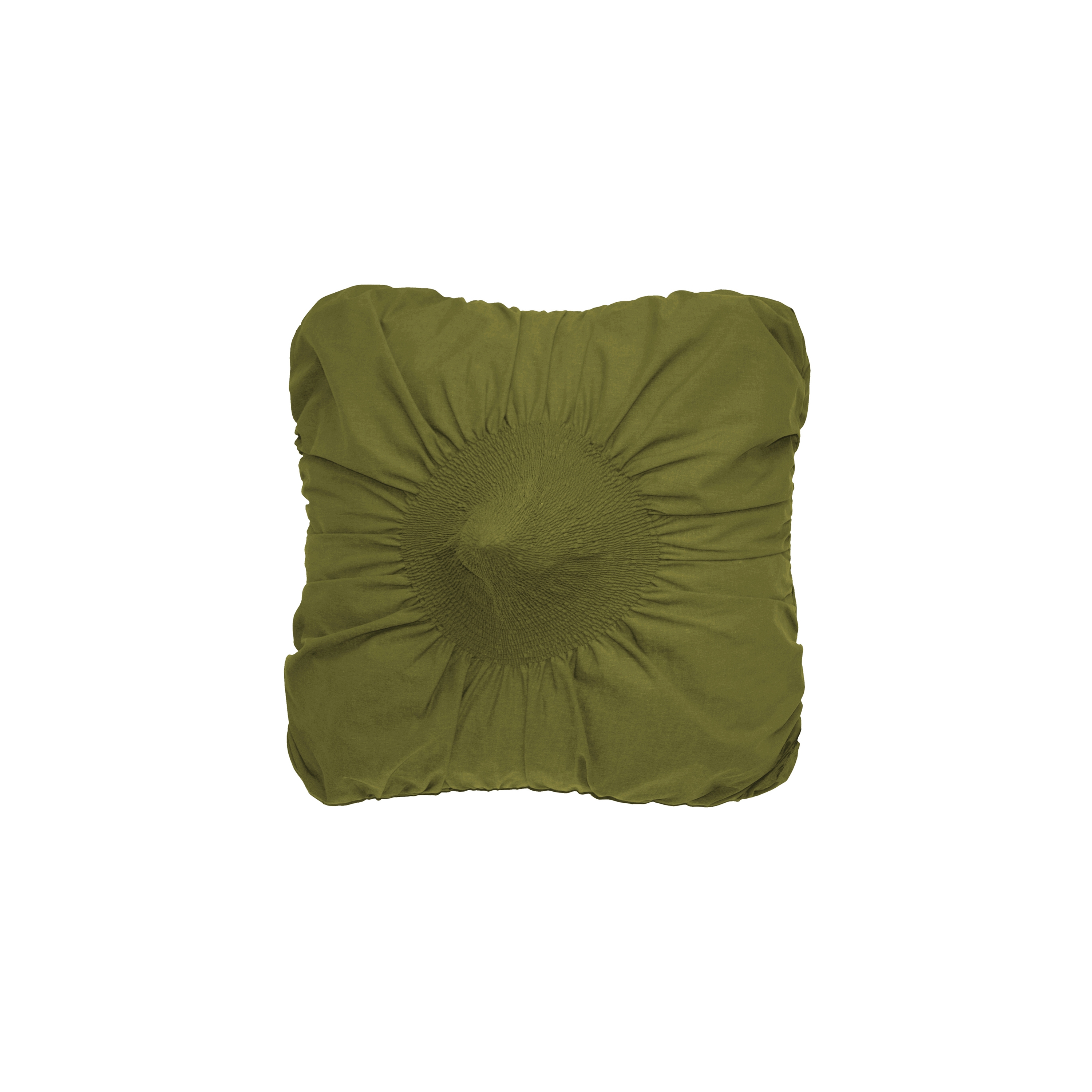 Anemone cushion kiwi