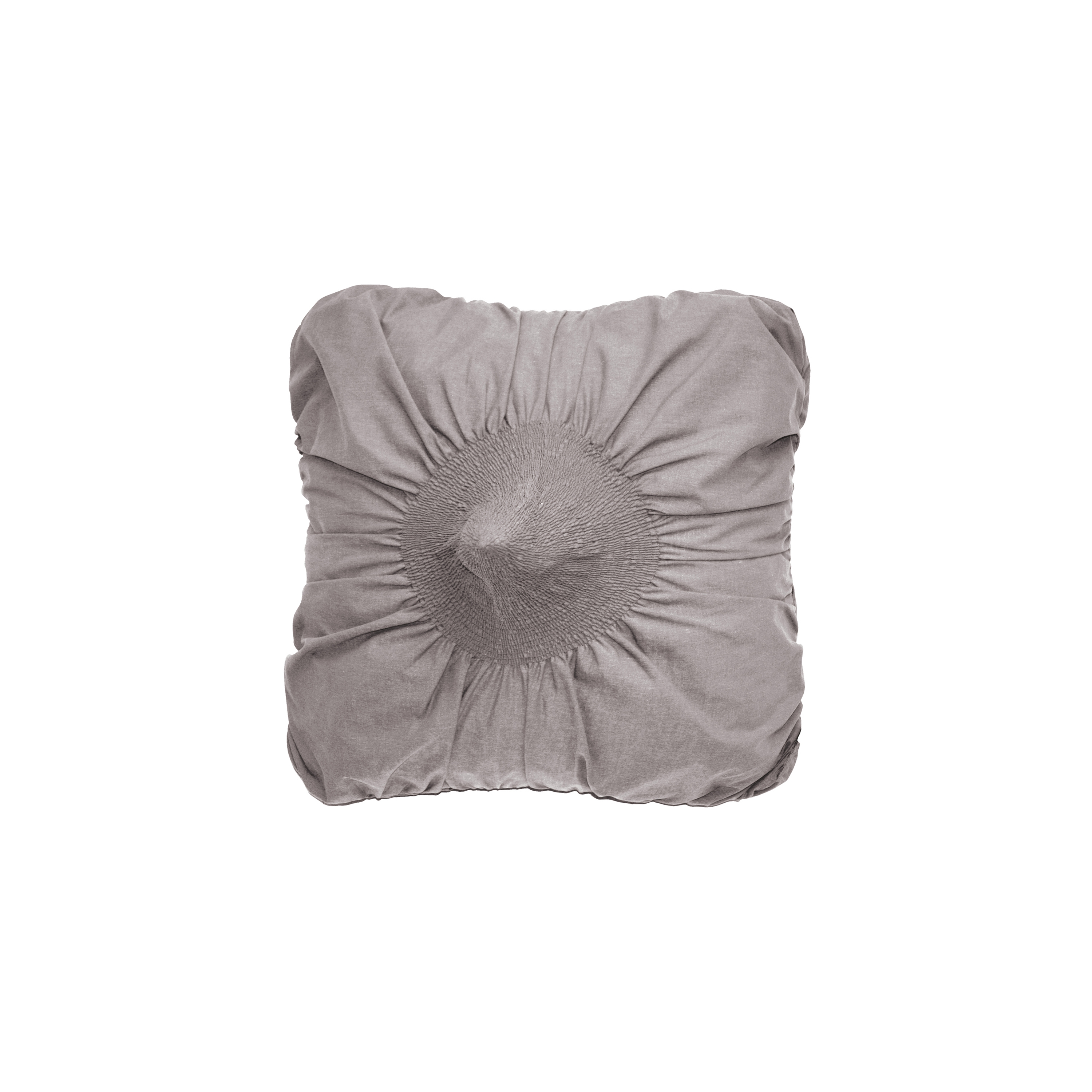 Anemone cushion marrone