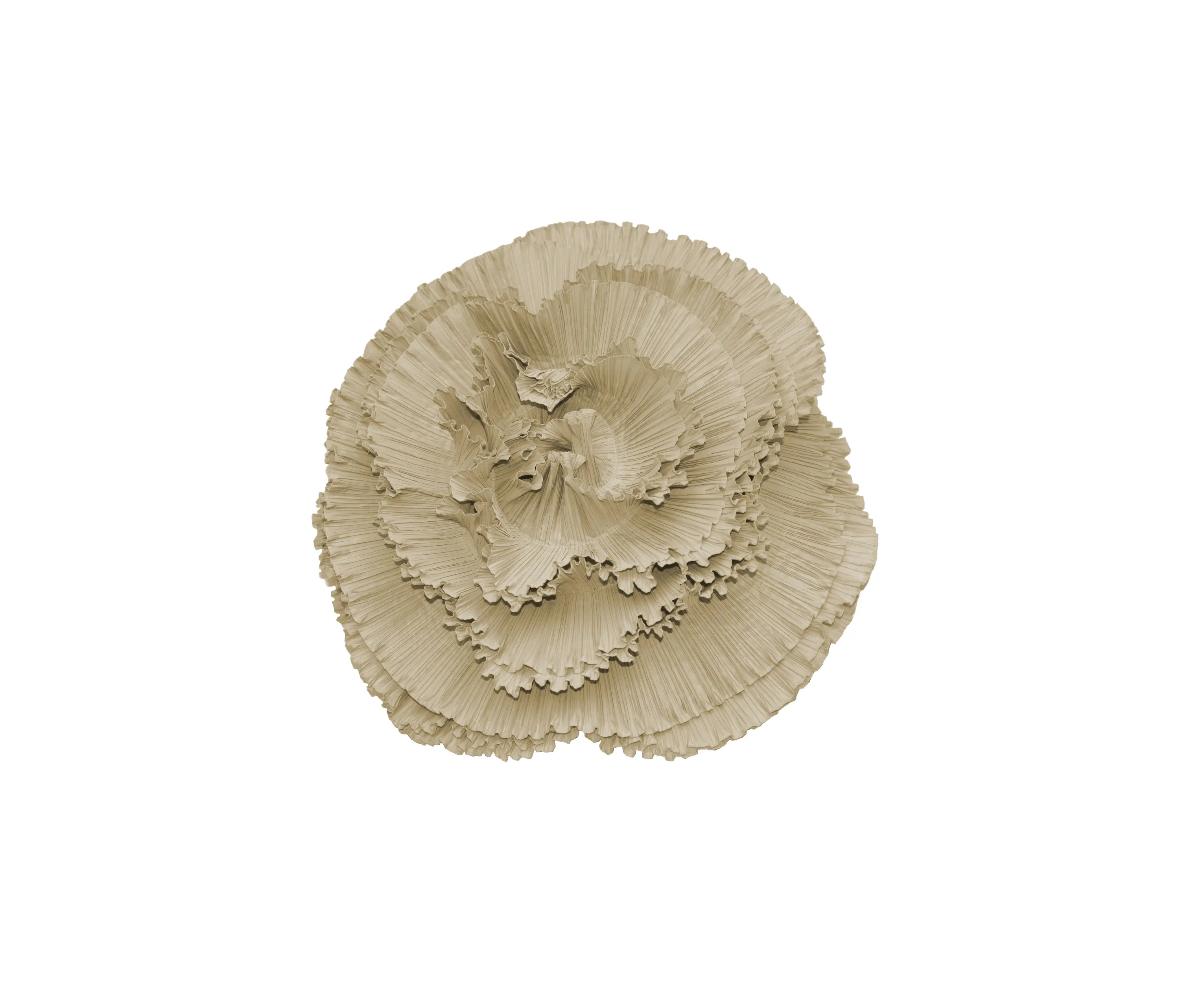 Poemo Design - Rosa Plisse’ perla