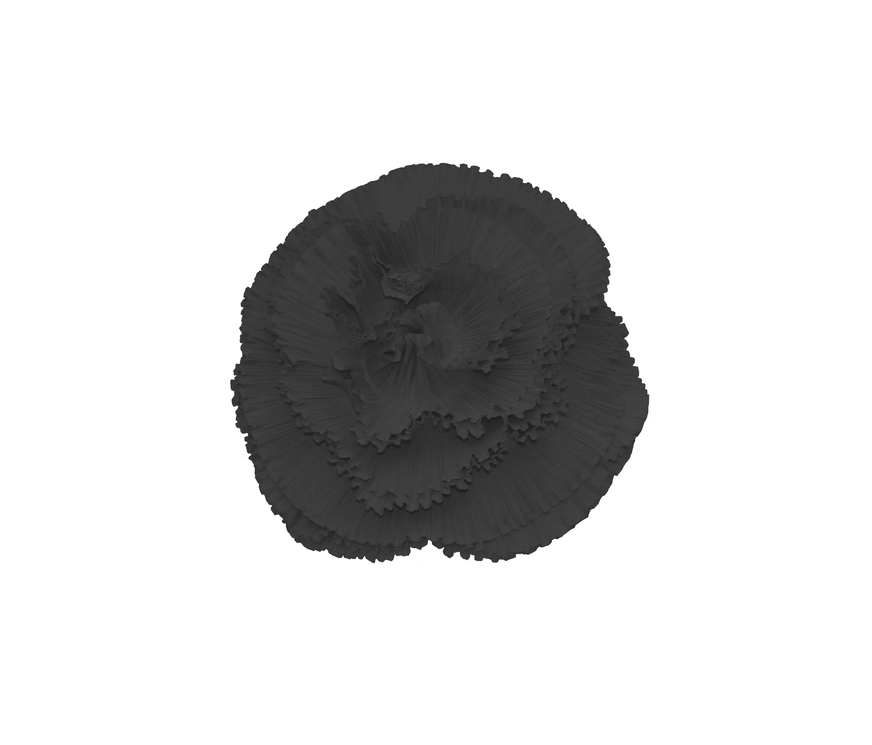 Poemo Design - Rosa Plisse’ piombo